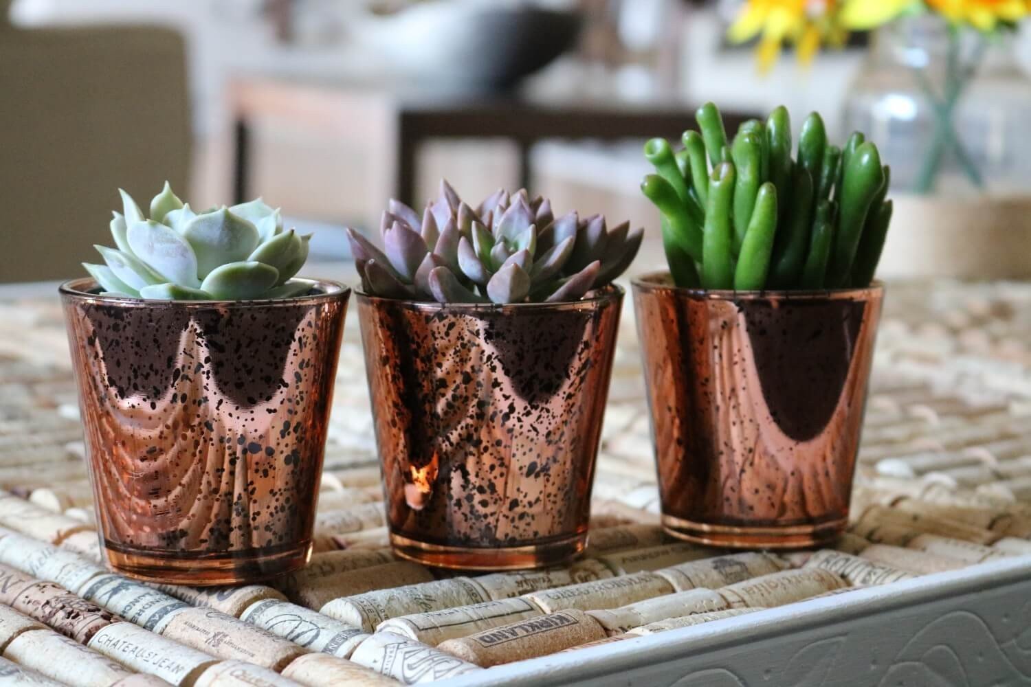 Vintage Glass - Say It with Succulents bulk wholesale succulent prices at the succulent source - 11