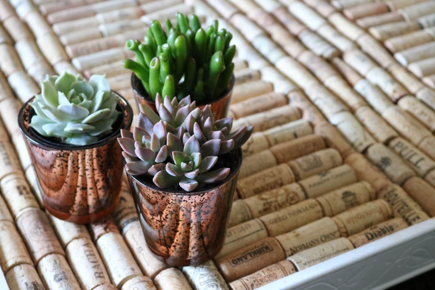 Vintage Glass - Say It with Succulents bulk wholesale succulent prices at the succulent source - 5