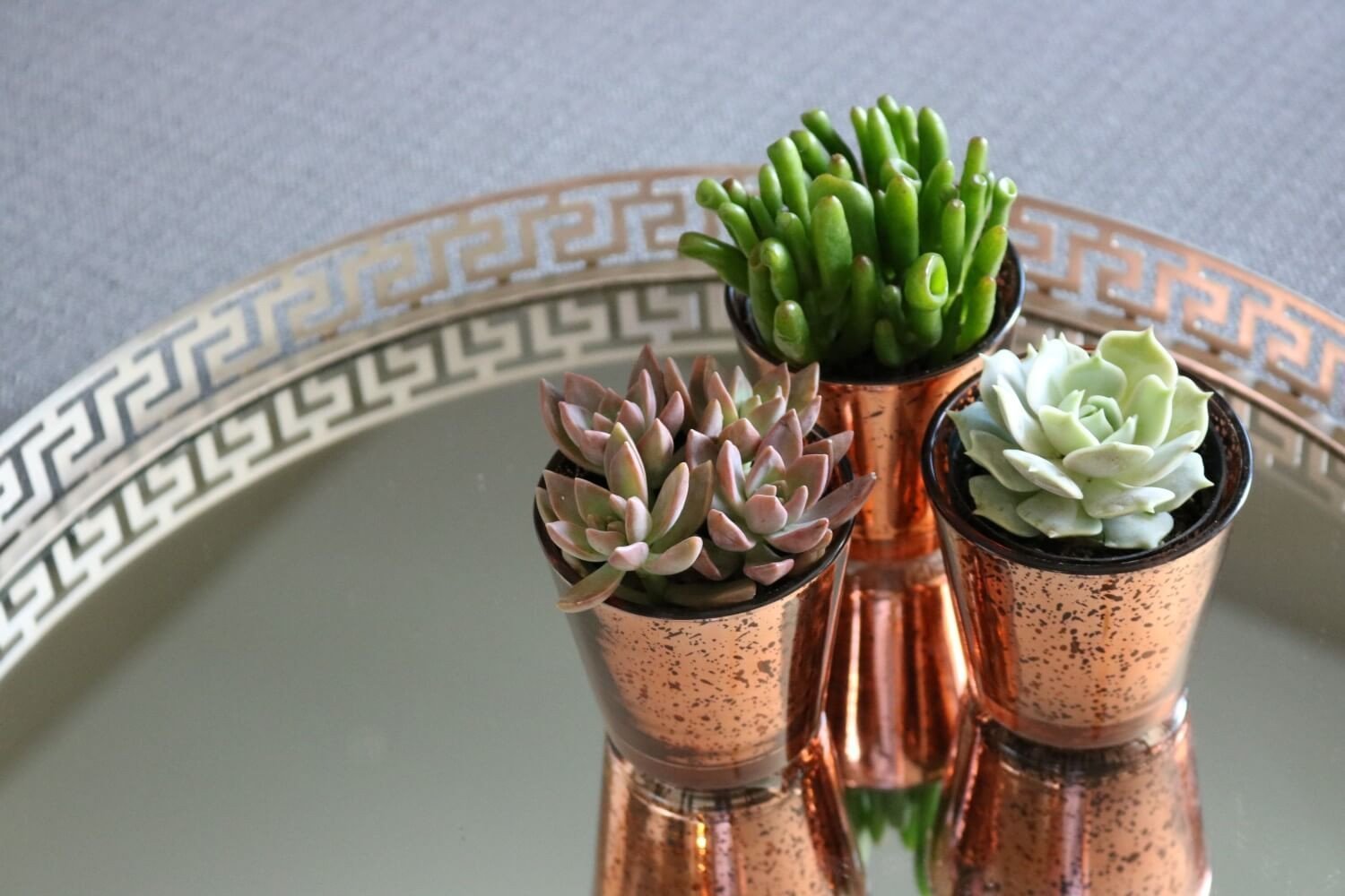 Vintage Glass - Say It with Succulents bulk wholesale succulent prices at the succulent source - 1