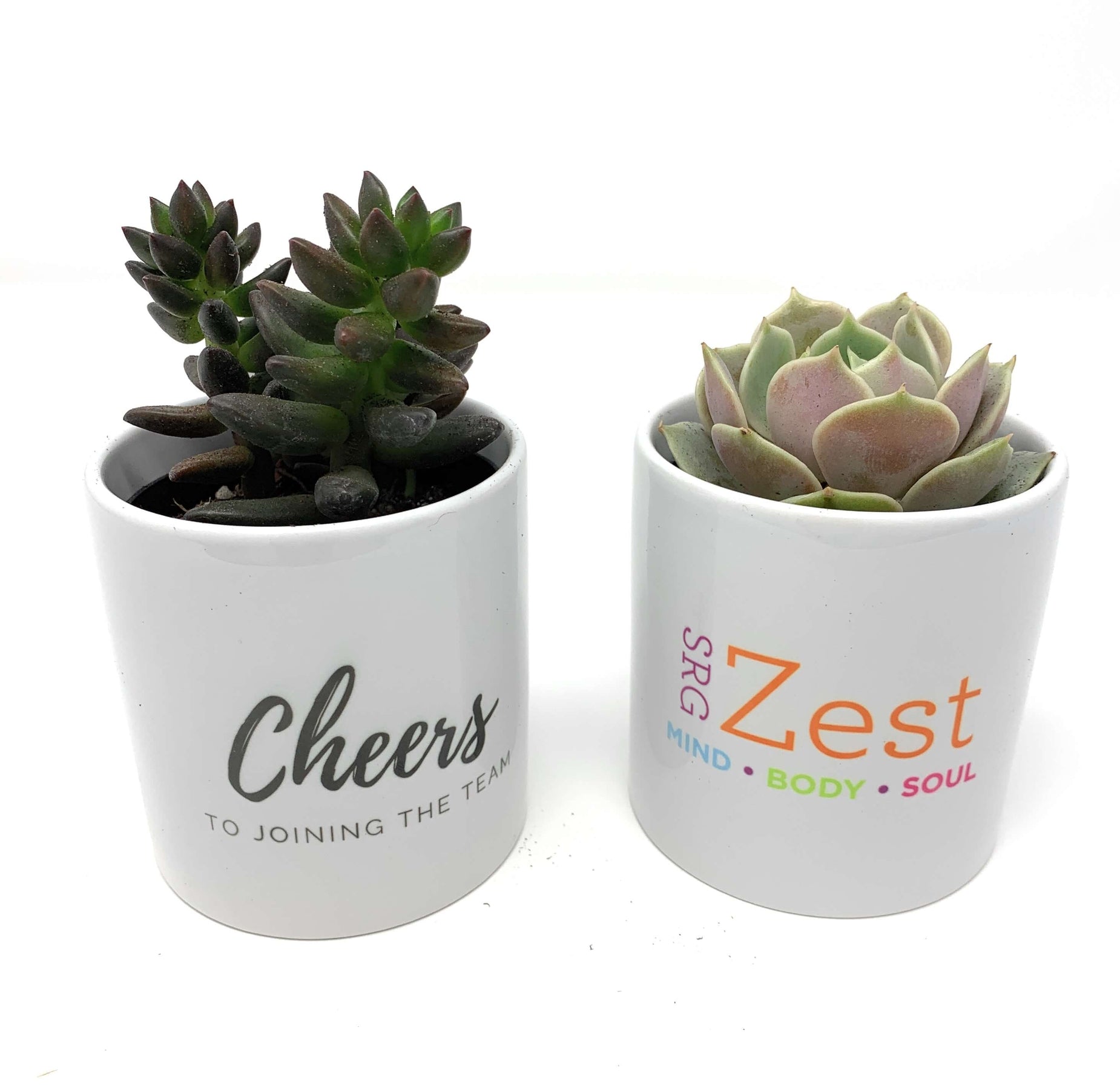 Branded Gift Box