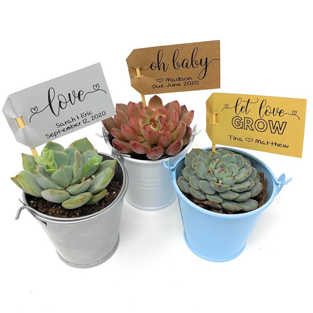 CUSTOM Favor Flag Tags (21 Pack) - Wedding Succulent Favors & Cactus for Sale custom-favor-flag-tags-21-pack-wedding-succulent-favors-cactus-for-sale