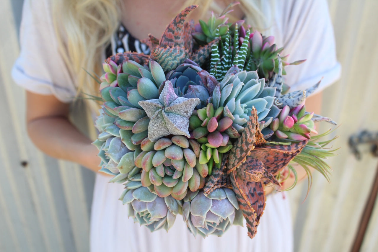 Succulent Bouquets