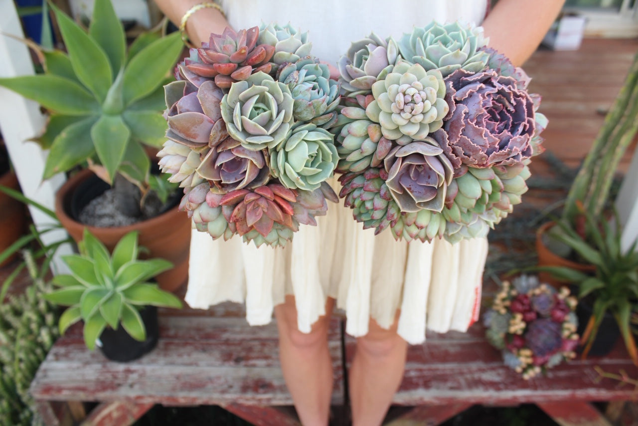 Succulent Bouquets