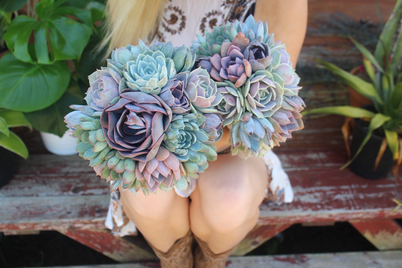 Succulent Bouquets