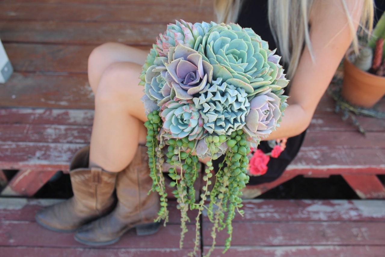 Succulent Bouquets