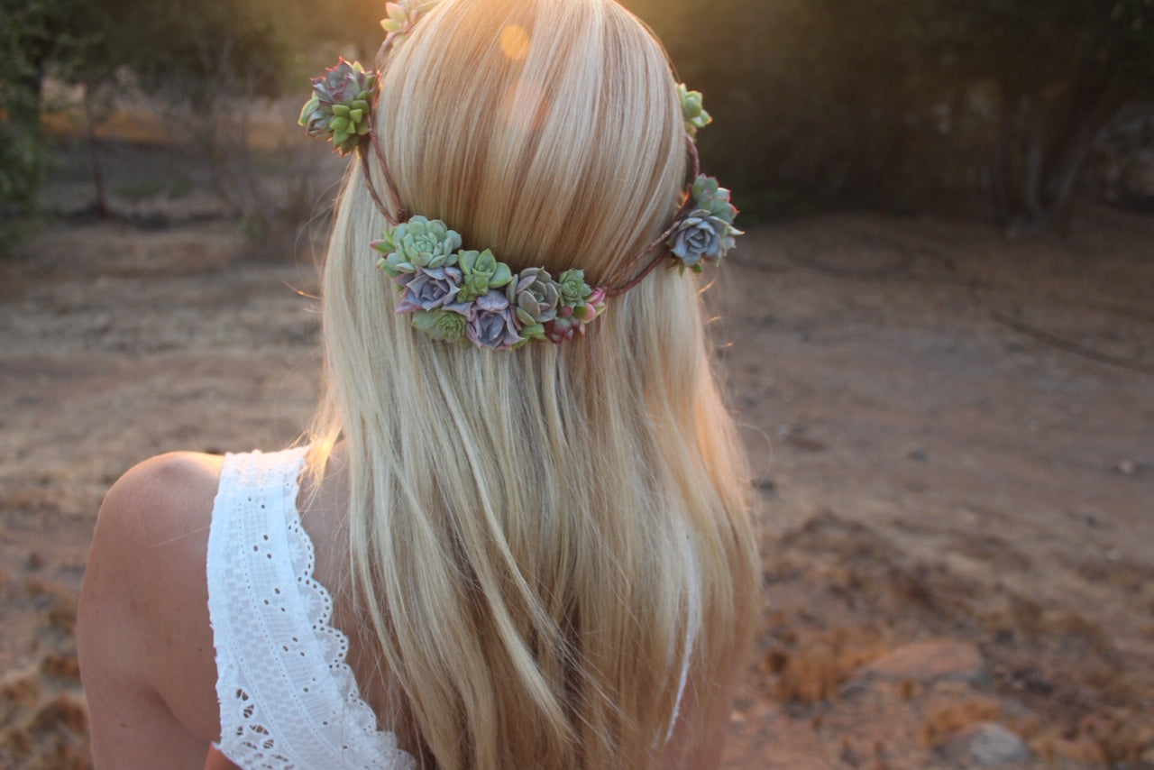 Succulent Crown - Live