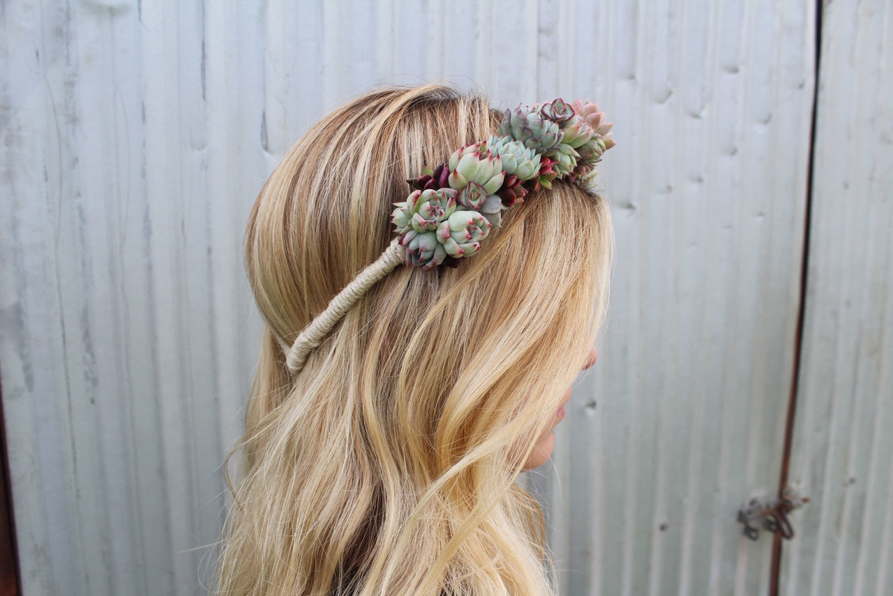 Succulent Crown - Live