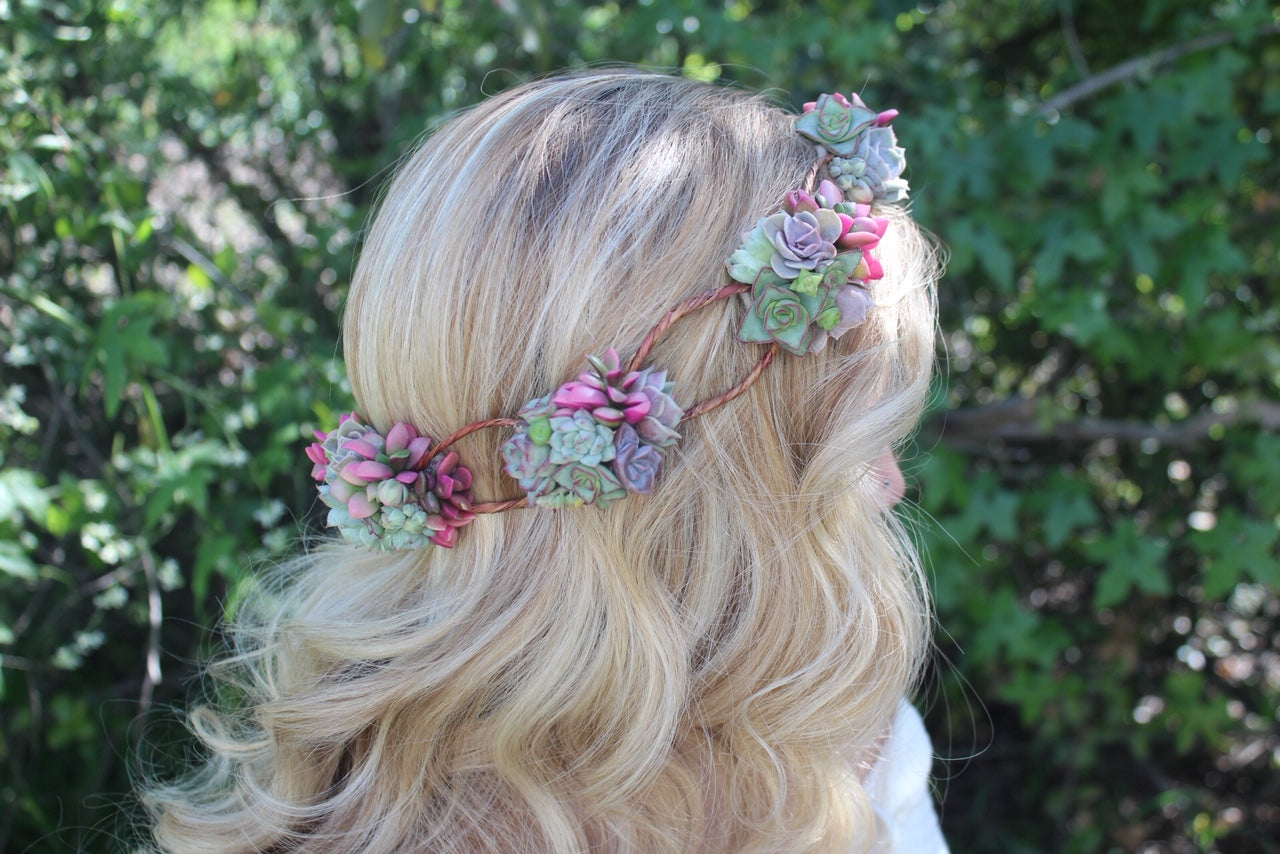 Succulent Crown - Live