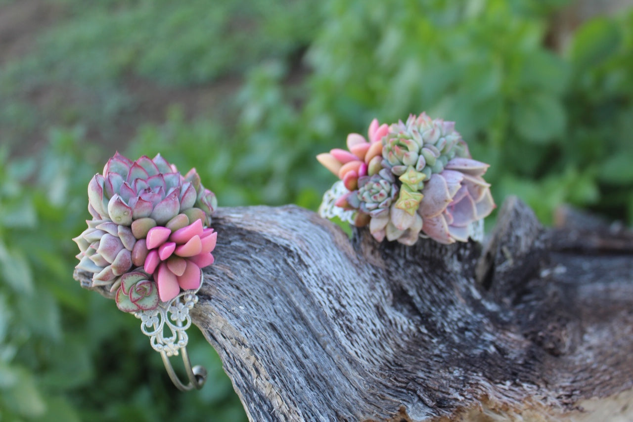 Succulent Cuff Corsage Bracelet - Live