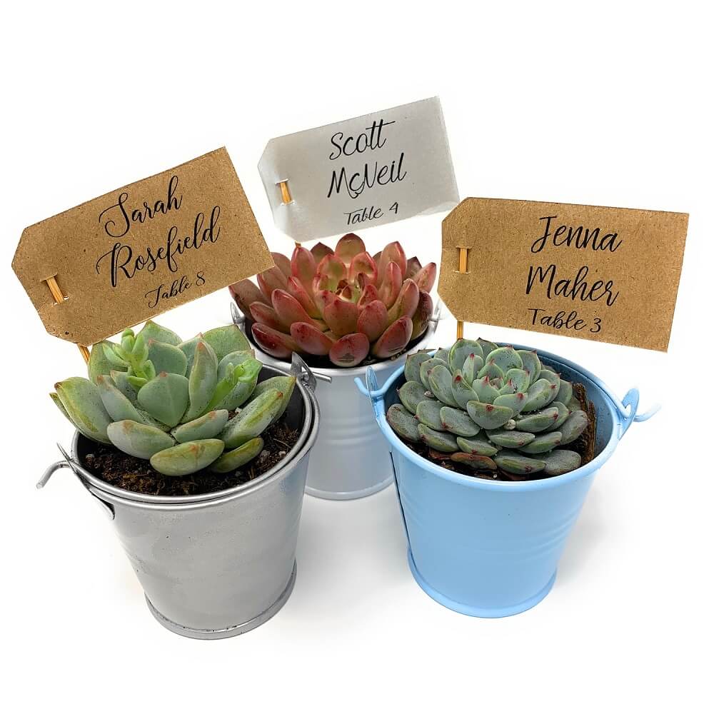 succulent flags Custom Name Table Escort Tags