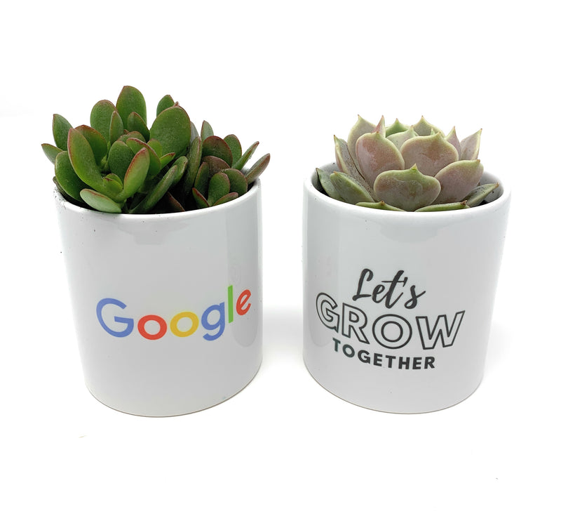5 Reasons Why Custom Branded Succulents are the Perfect Corporate Succulent Gift to Send