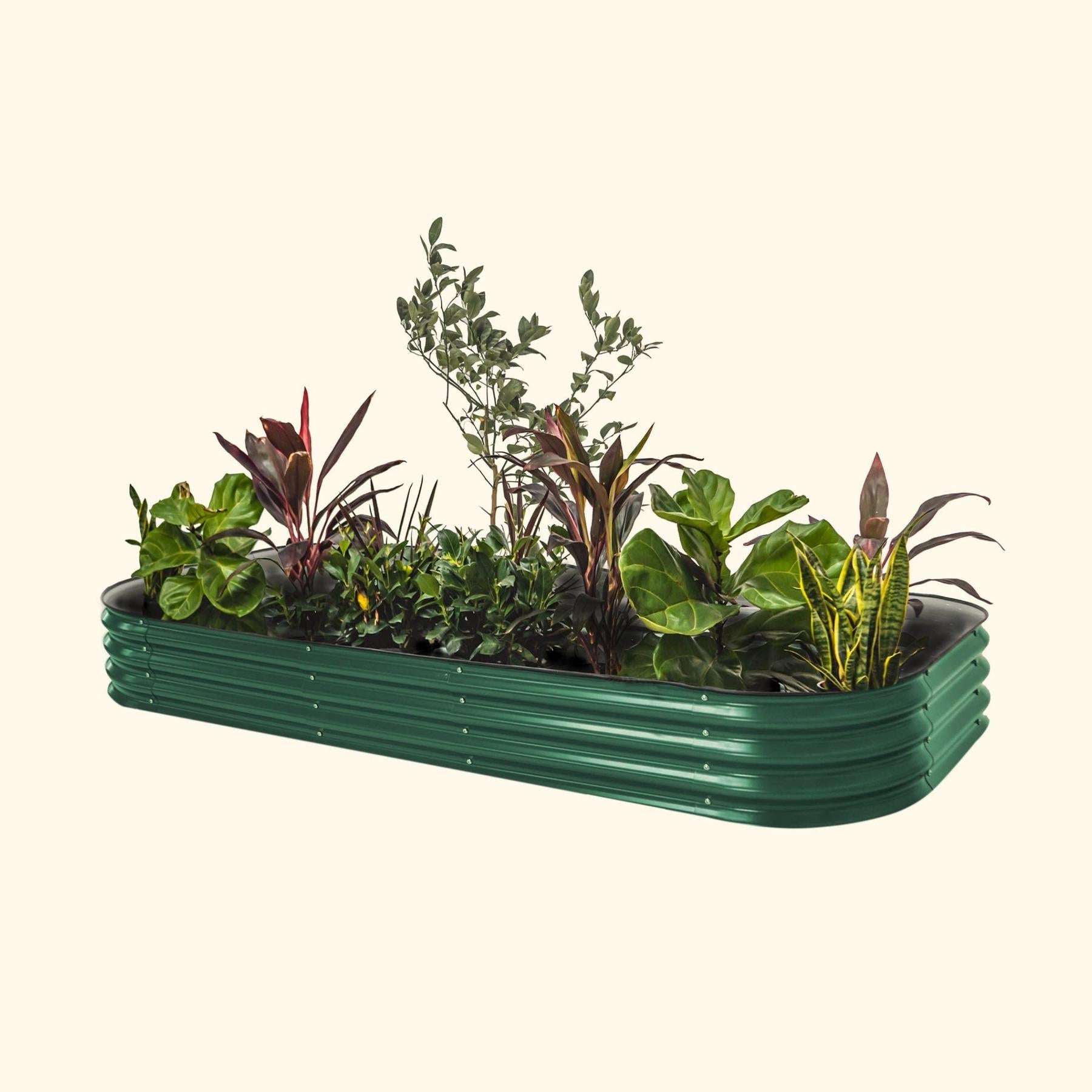 11" Tall 10 In 1 Jumbo Modular Metal Raised Garden Bed Kit-Garden beds-The Succulent Source