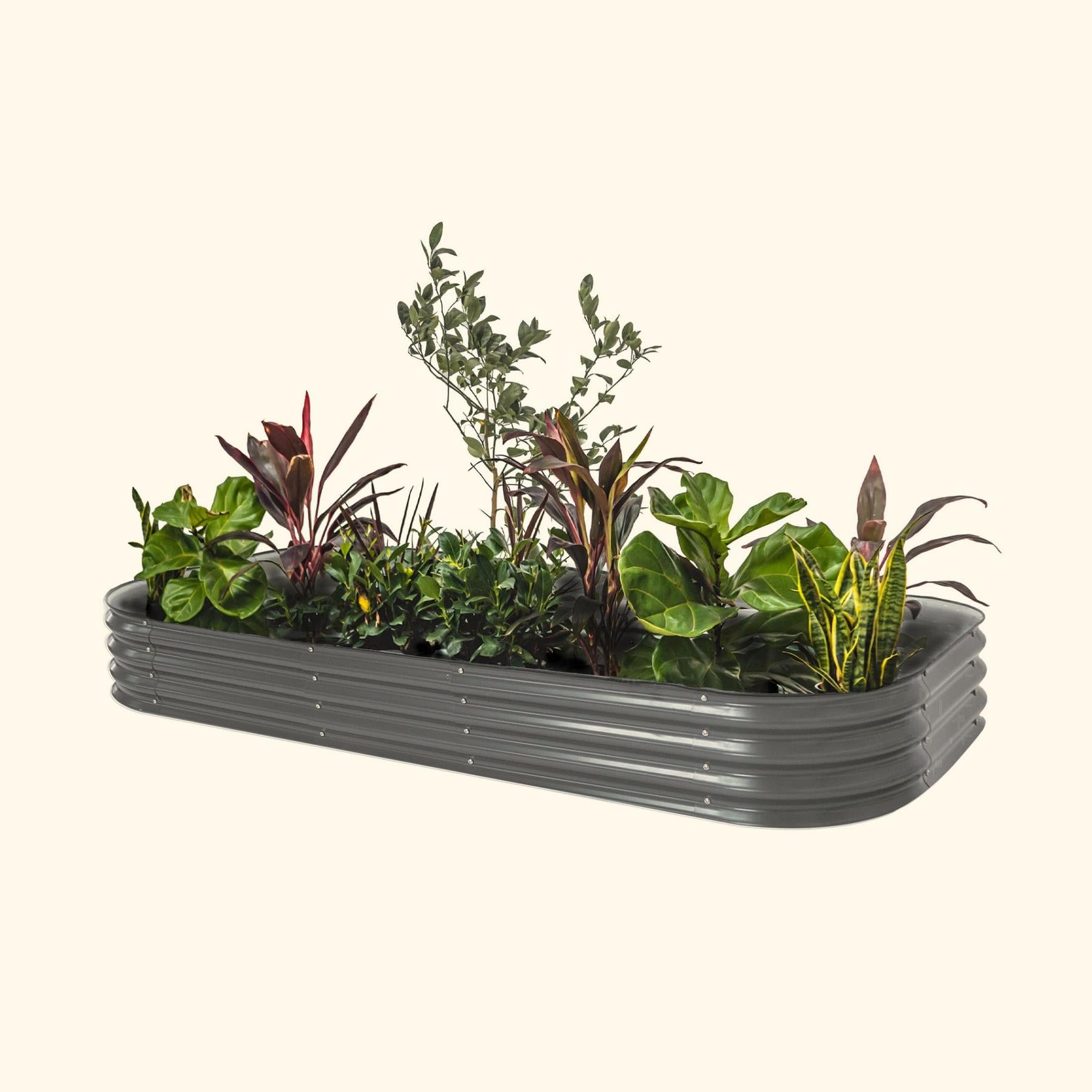 11" Tall 10 In 1 Jumbo Modular Metal Raised Garden Bed Kit-Garden beds-The Succulent Source