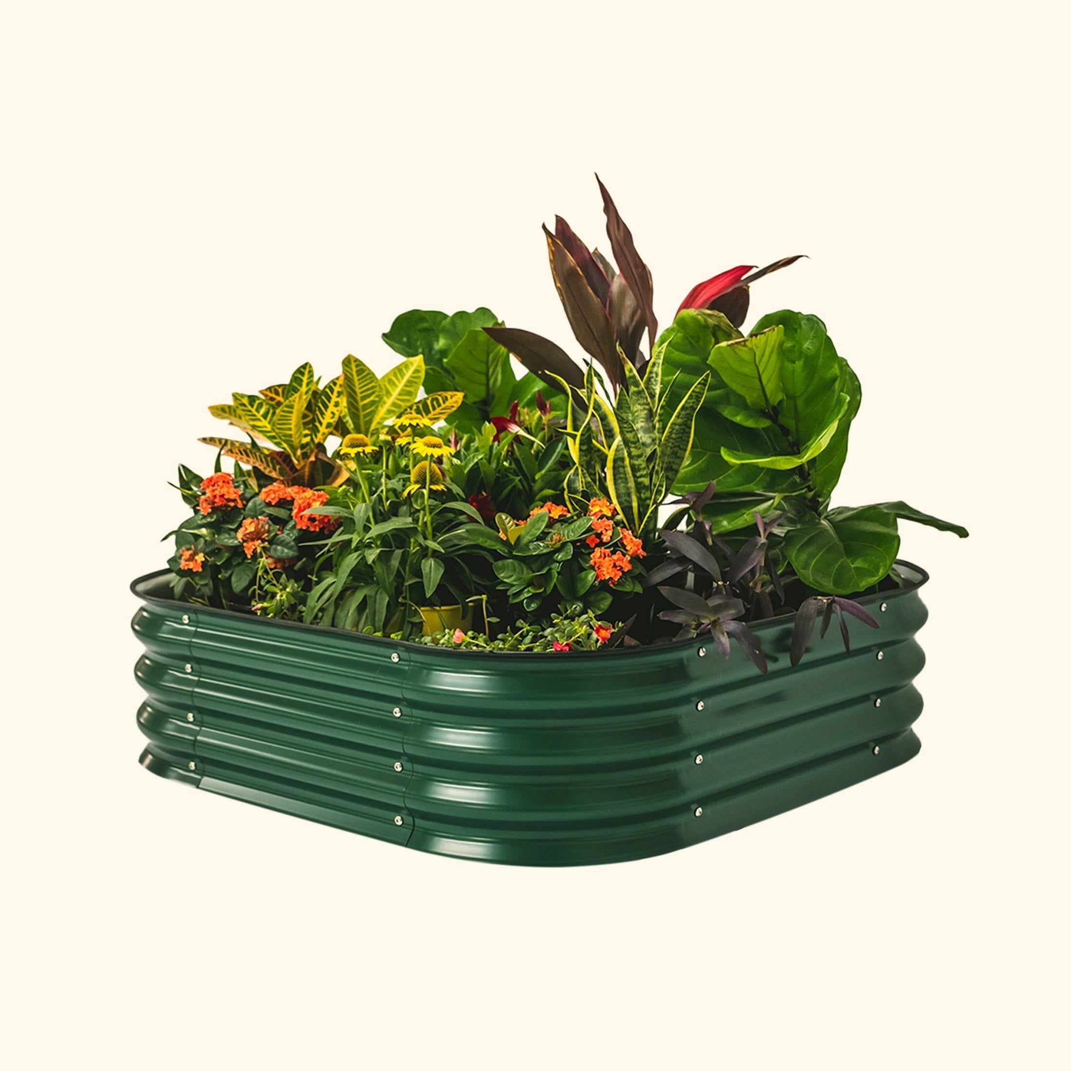 11" Tall 4 In 1 Small Modular Metal Raised Garden Bed Kit-Garden beds-The Succulent Source