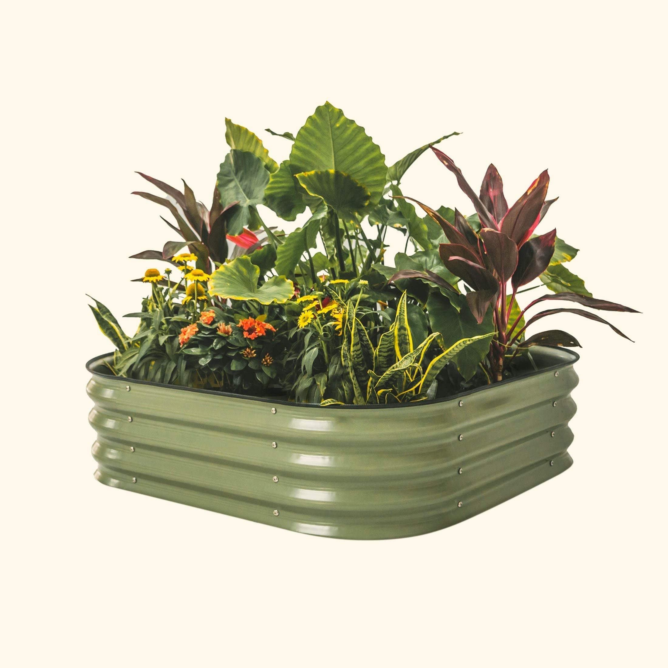 11" Tall 4 In 1 Small Modular Metal Raised Garden Bed Kit-Garden beds-The Succulent Source