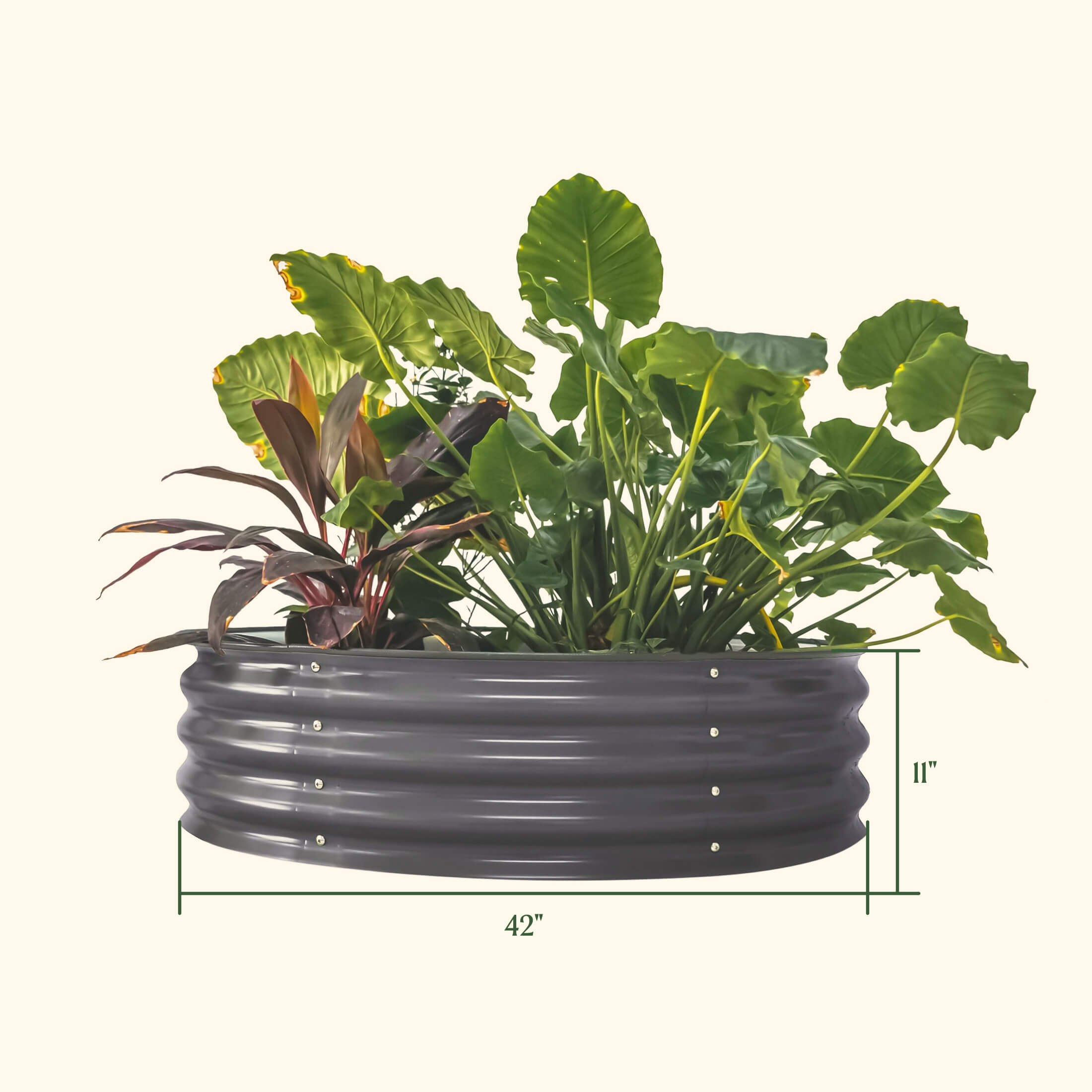 11" Tall 42" Wide Round Metal Raised Garden Bed Kit-Garden beds-The Succulent Source