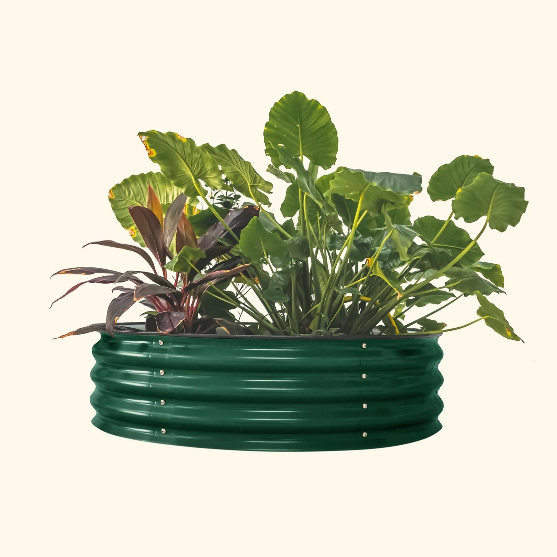 11" Tall 42" Wide Round Metal Raised Garden Bed Kit-Garden beds-The Succulent Source