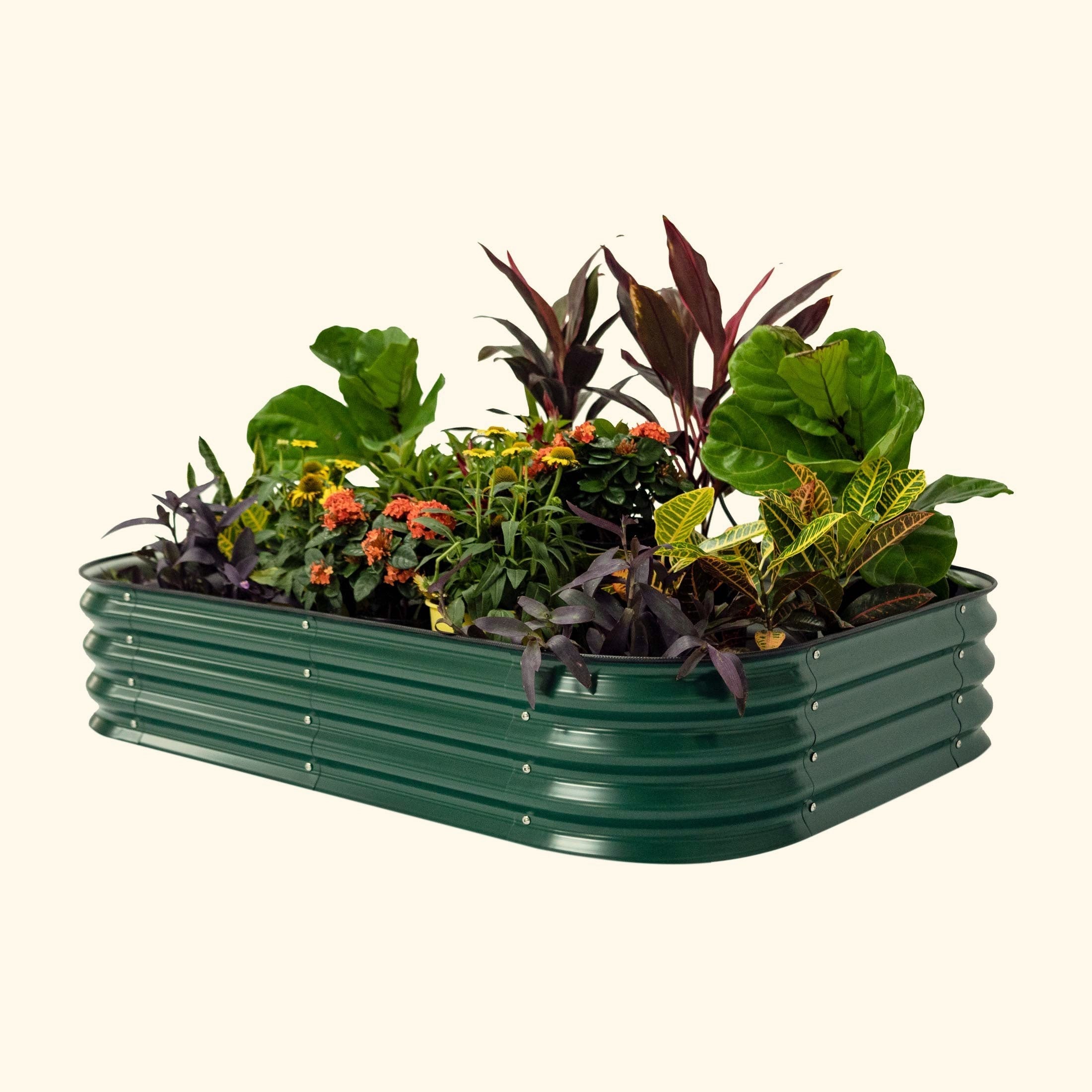 11" Tall 6 In 1 Medium Modular Metal Raised Garden Bed Kit-Garden beds-The Succulent Source