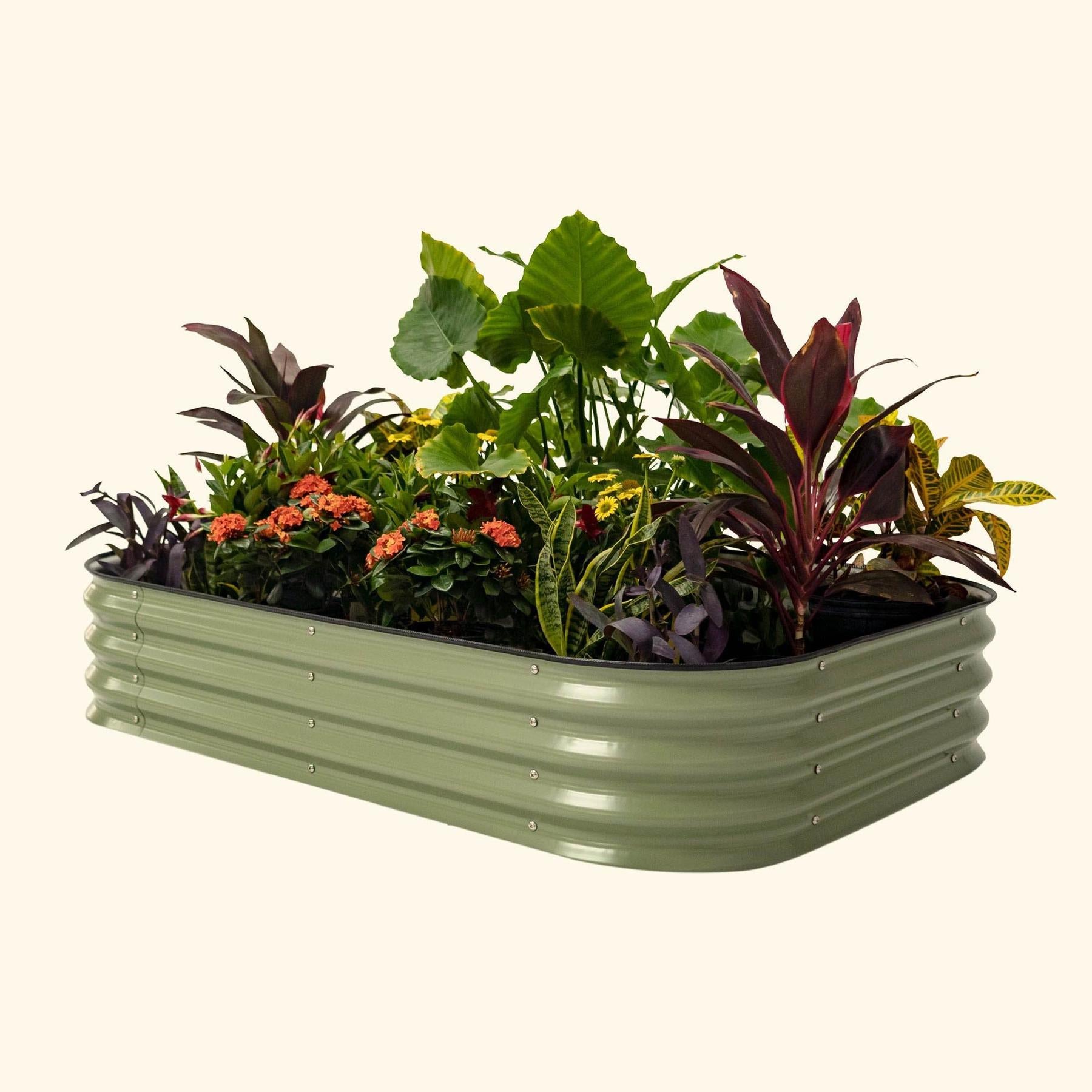 11" Tall 6 In 1 Medium Modular Metal Raised Garden Bed Kit-Garden beds-The Succulent Source