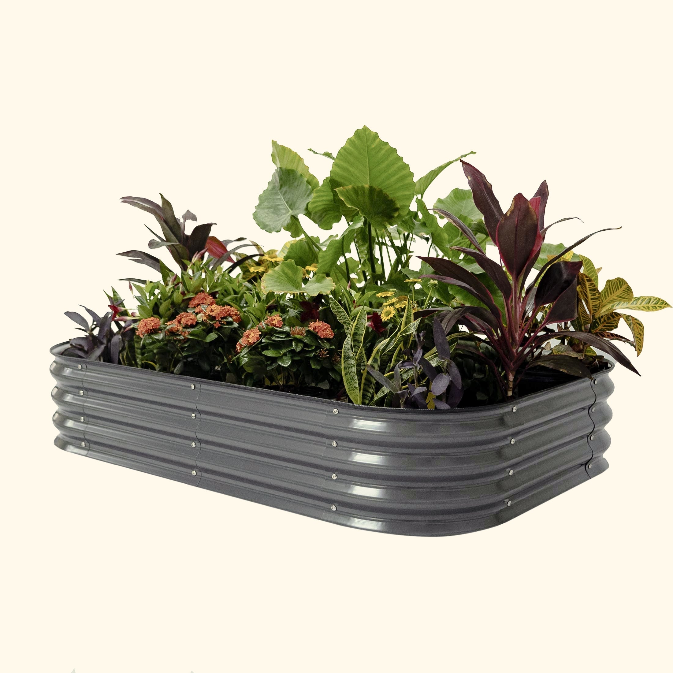 11" Tall 6 In 1 Medium Modular Metal Raised Garden Bed Kit-Garden beds-The Succulent Source