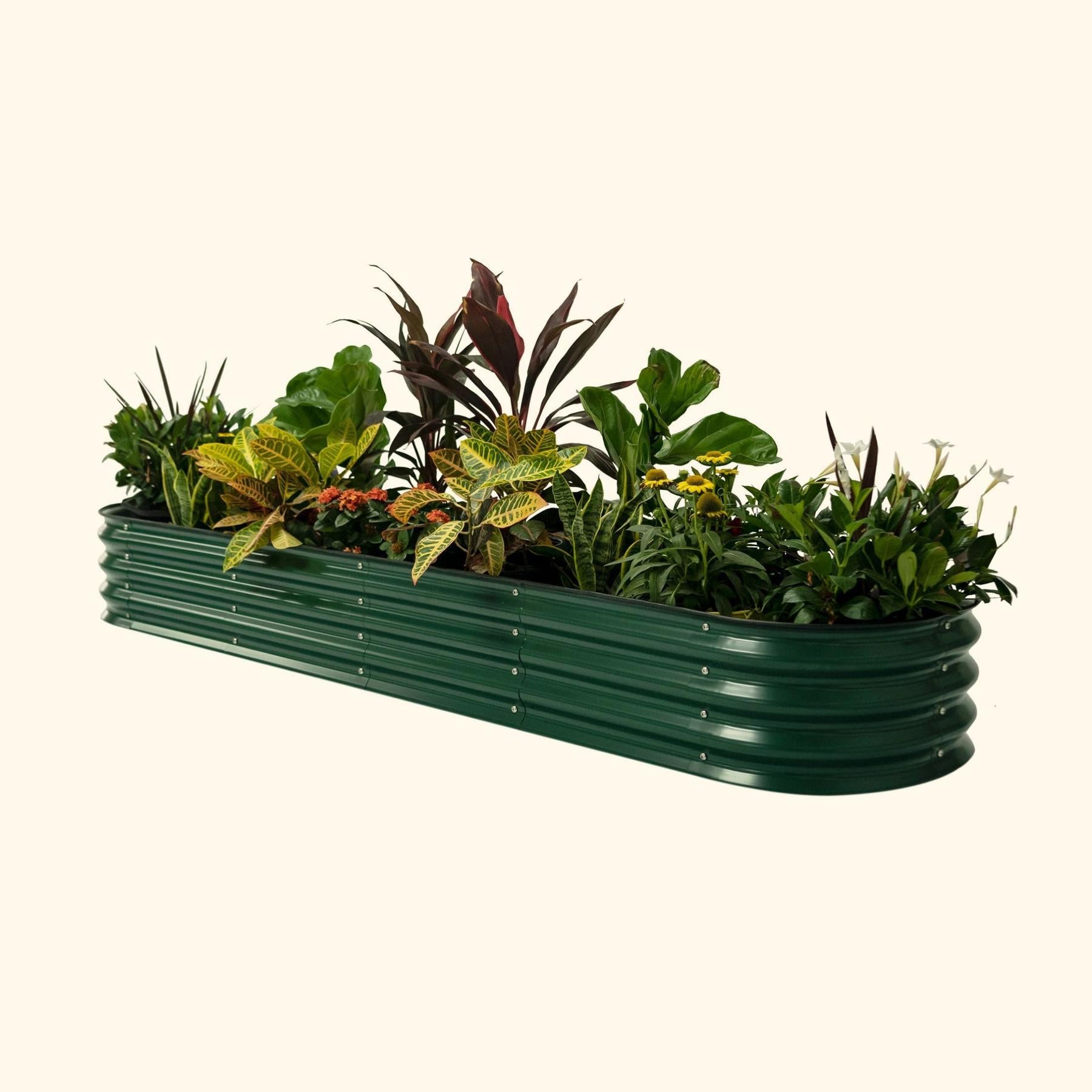 11" Tall 9 In 1 Large Modular Metal Raised Garden Bed Kit-Garden beds-The Succulent Source