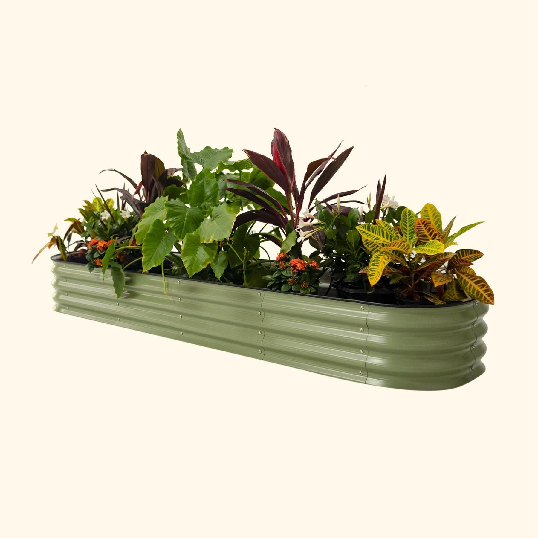 11" Tall 9 In 1 Large Modular Metal Raised Garden Bed Kit-Garden beds-The Succulent Source