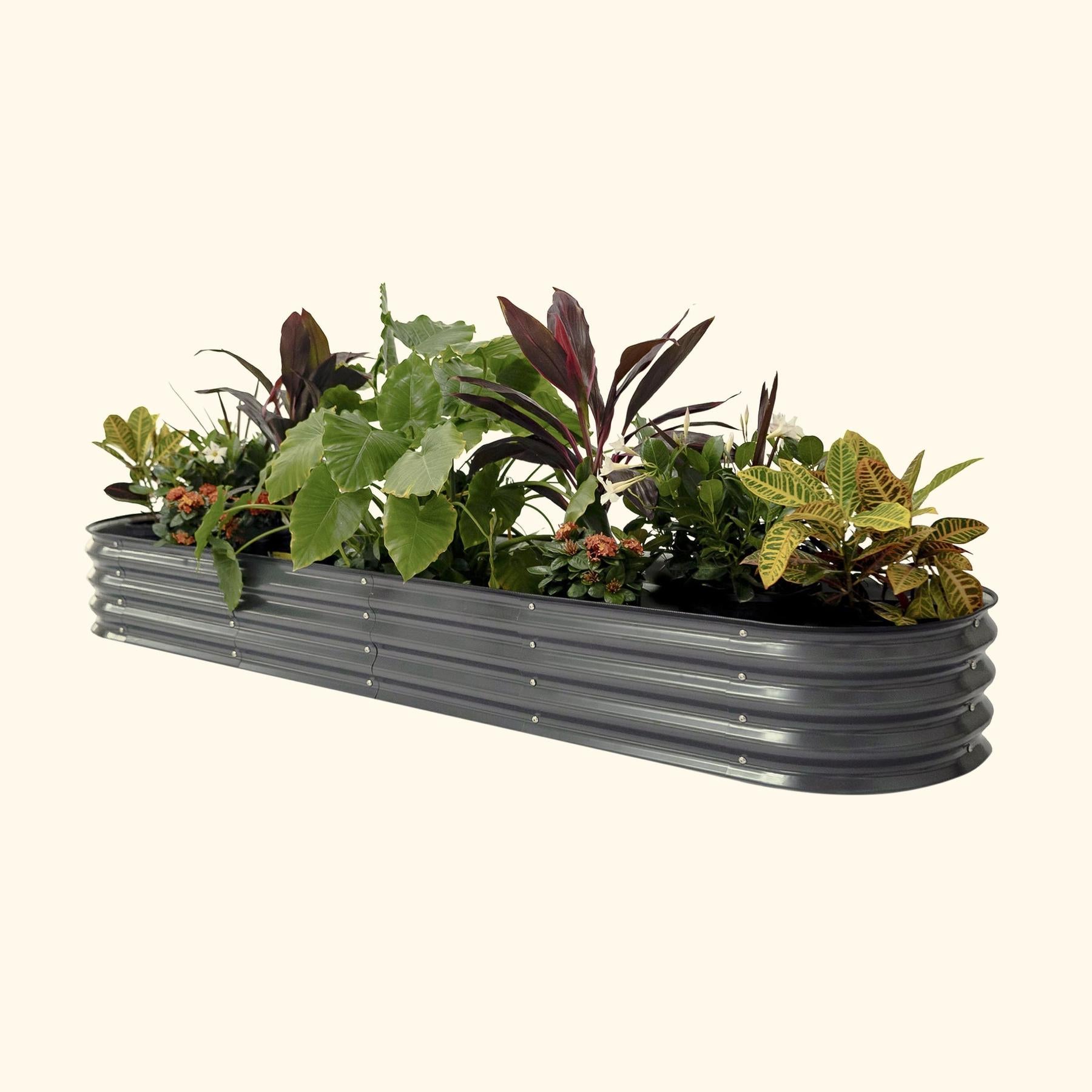 11" Tall 9 In 1 Large Modular Metal Raised Garden Bed Kit-Garden beds-The Succulent Source