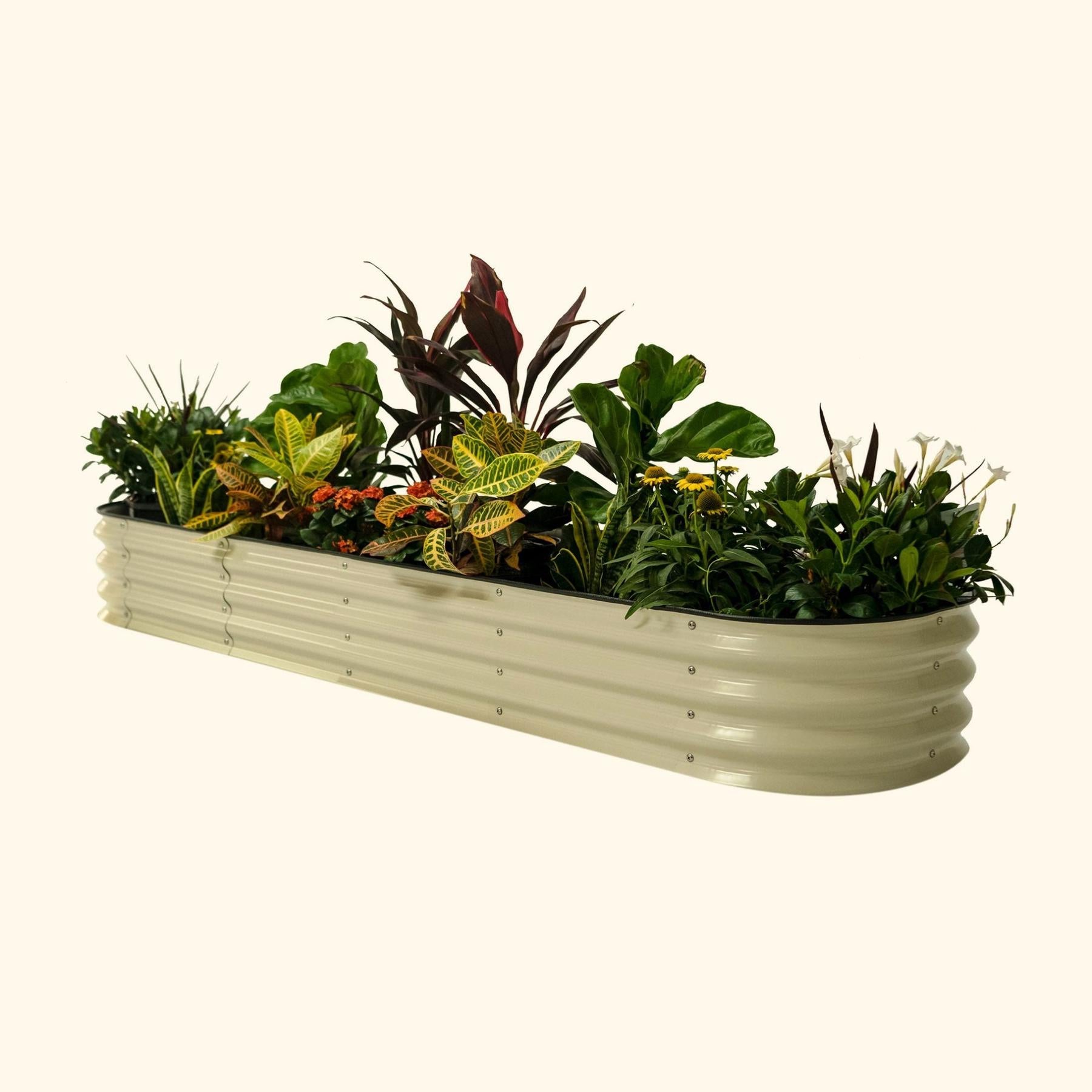 11" Tall 9 In 1 Large Modular Metal Raised Garden Bed Kit-Garden beds-The Succulent Source