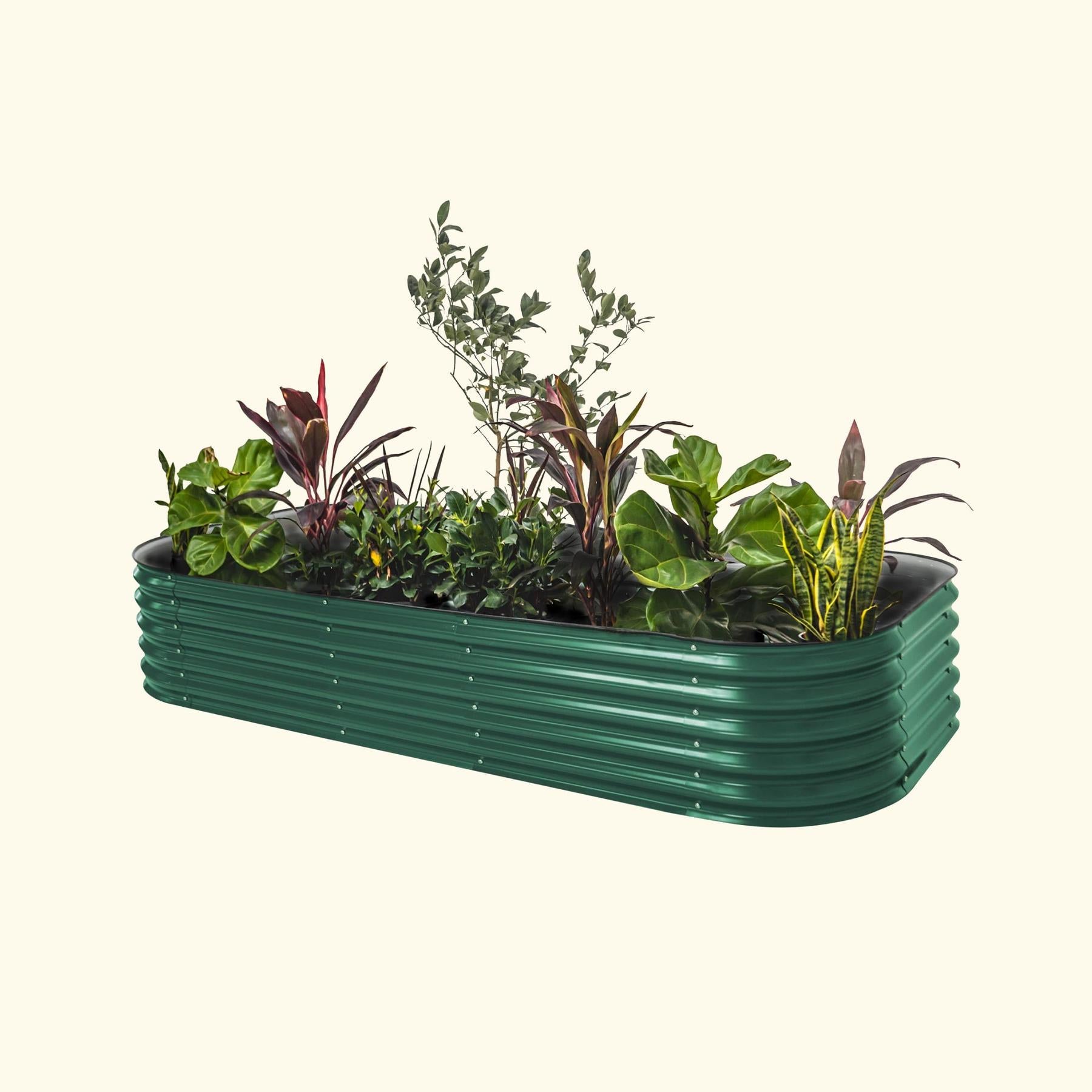 17" Tall 10 In 1 Jumbo Modular Metal Raised Garden Bed Kit-Garden beds-The Succulent Source