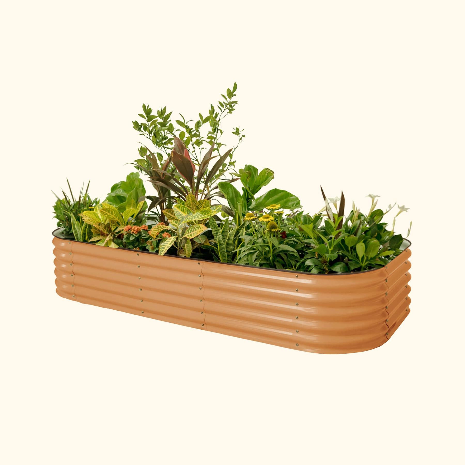 17" Tall 10 In 1 Jumbo Modular Metal Raised Garden Bed Kit-Garden beds-The Succulent Source