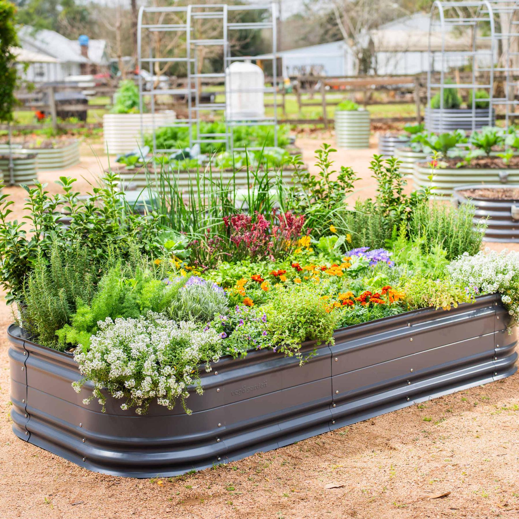 17" Tall 10 In 1 Jumbo Novel Modular Metal Raised Garden Bed Kit-Garden beds-The Succulent Source