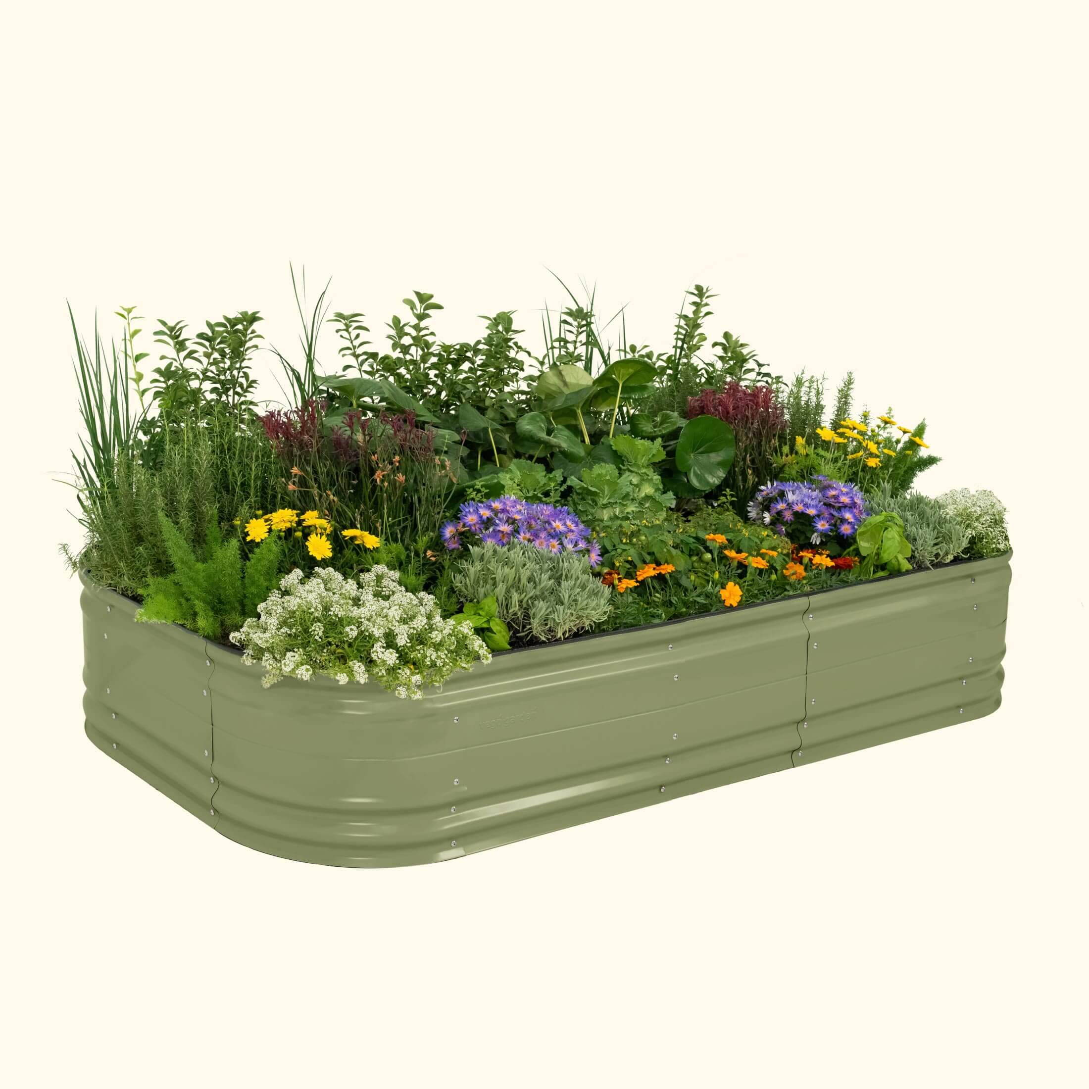 17" Tall 10 In 1 Jumbo Novel Modular Metal Raised Garden Bed Kit-Garden beds-The Succulent Source