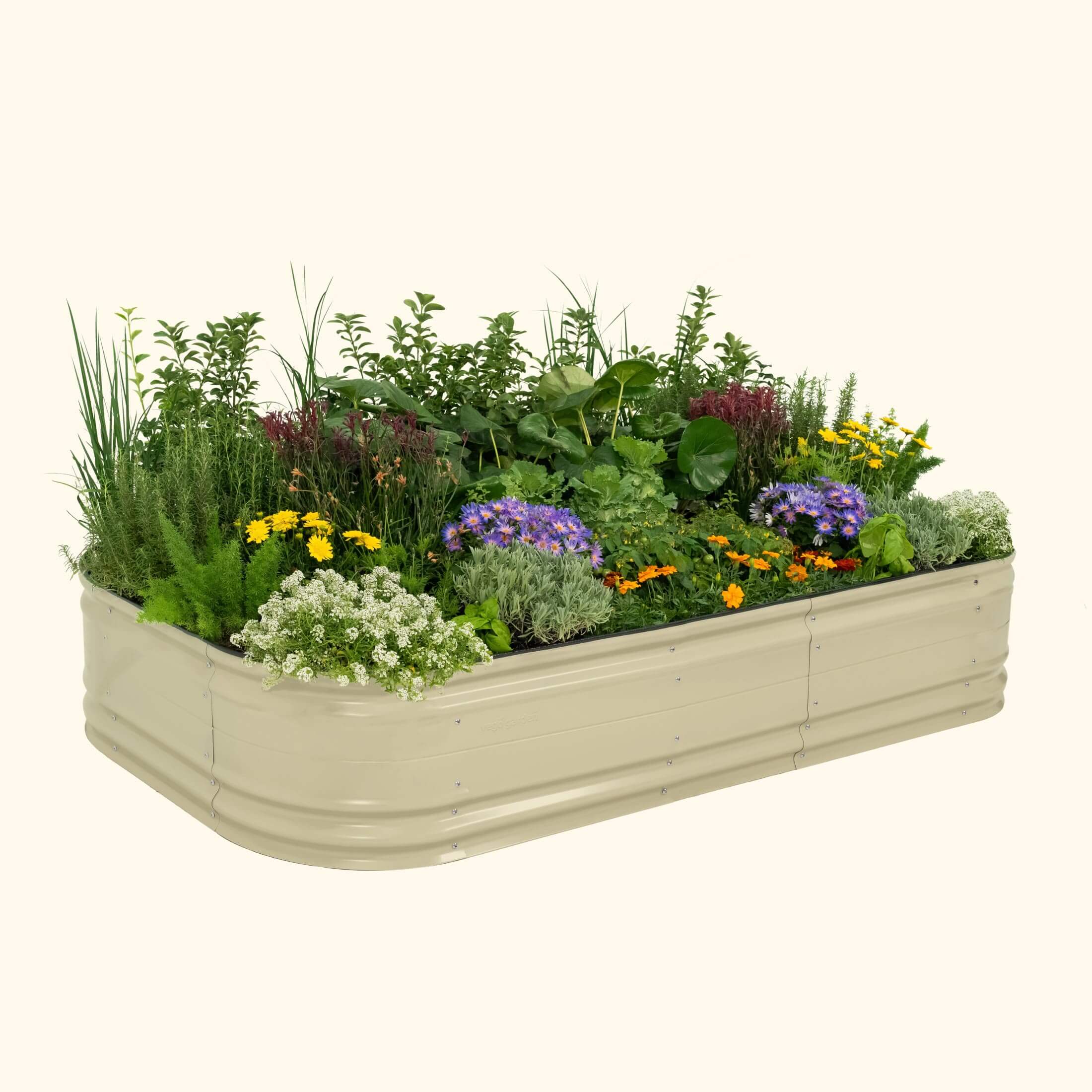 17" Tall 10 In 1 Jumbo Novel Modular Metal Raised Garden Bed Kit-Garden beds-The Succulent Source