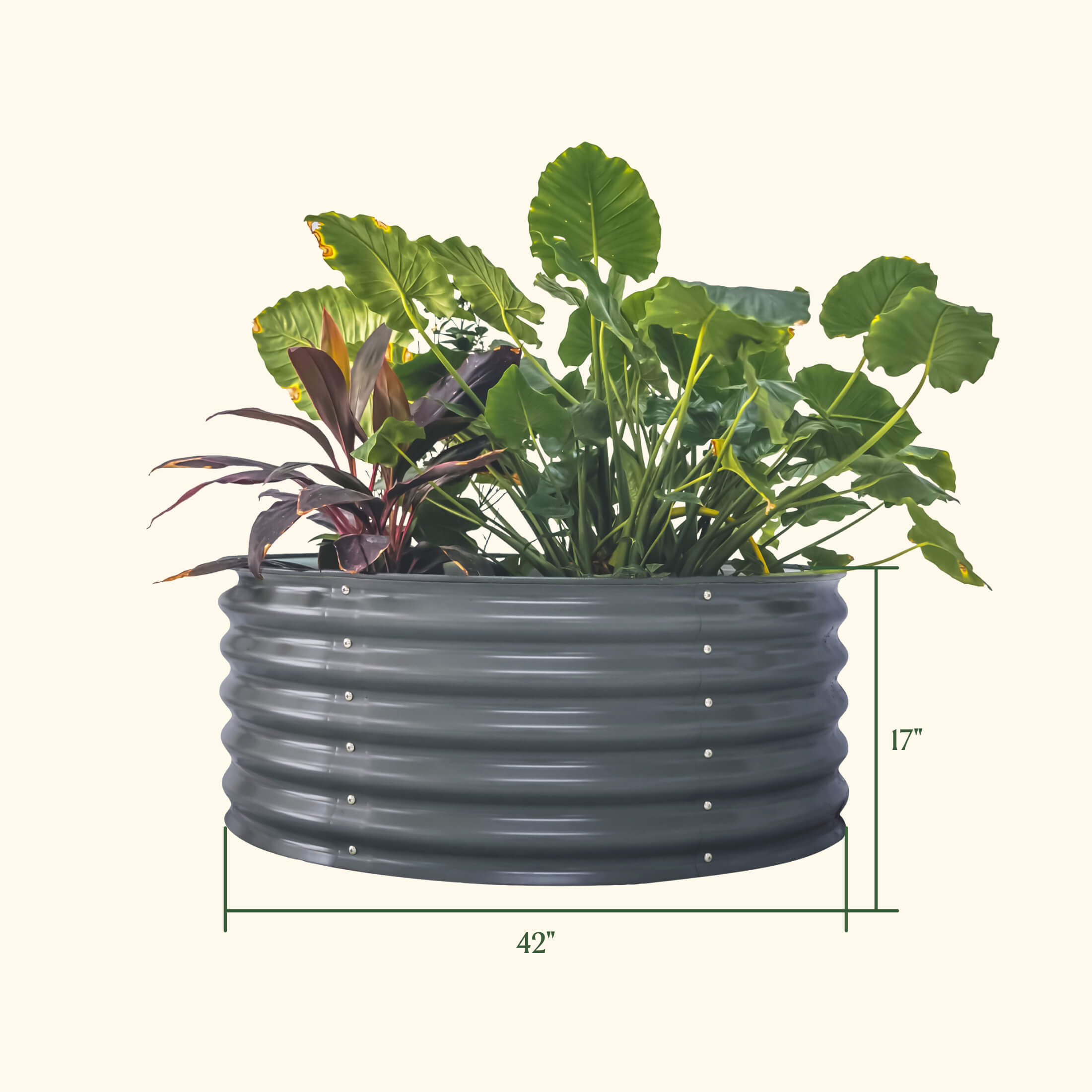 17" Tall 42" Wide Round Metal Raised Garden Bed Kit-Garden beds-The Succulent Source