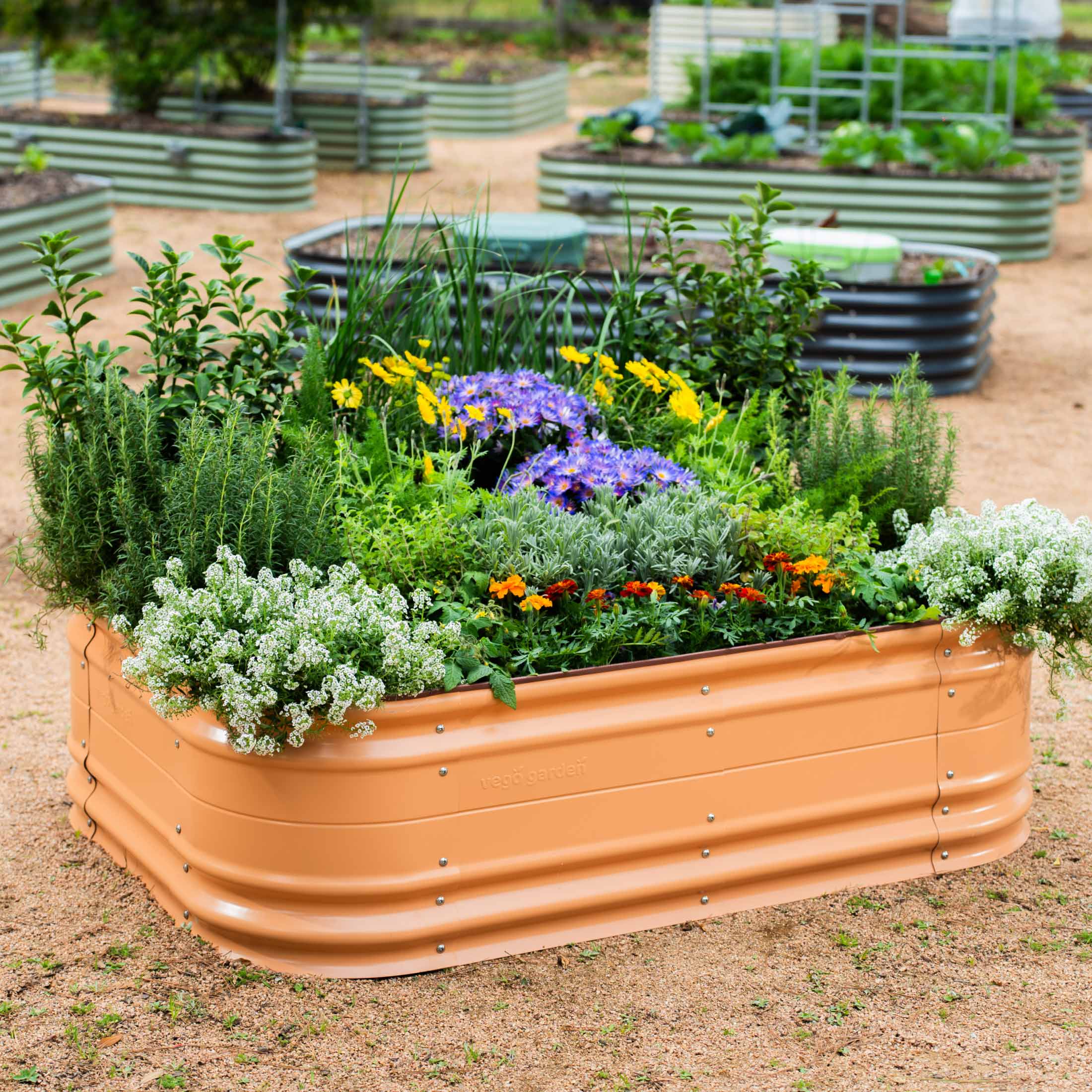 17" Tall 6 In 1 Medium Novel Modular Metal Raised Garden Bed Kit-Garden beds-The Succulent Source