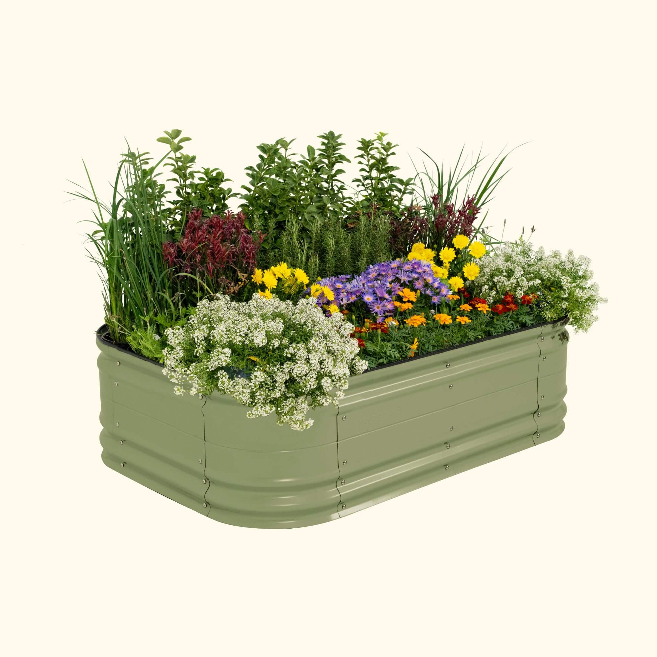 17" Tall 6 In 1 Medium Novel Modular Metal Raised Garden Bed Kit-Garden beds-The Succulent Source