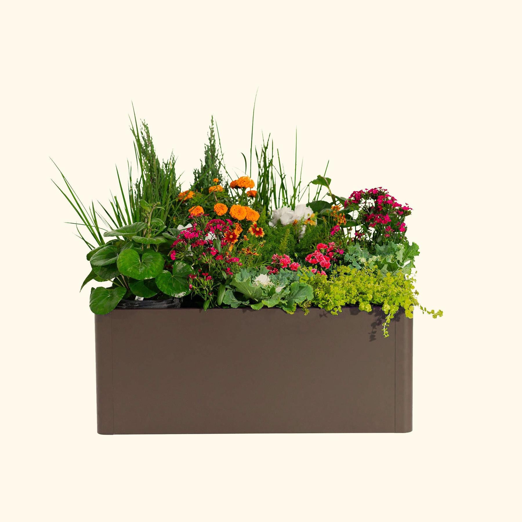 17" Tall Modern 42" x 83" Metal Raised Garden Bed-Garden beds-The Succulent Source