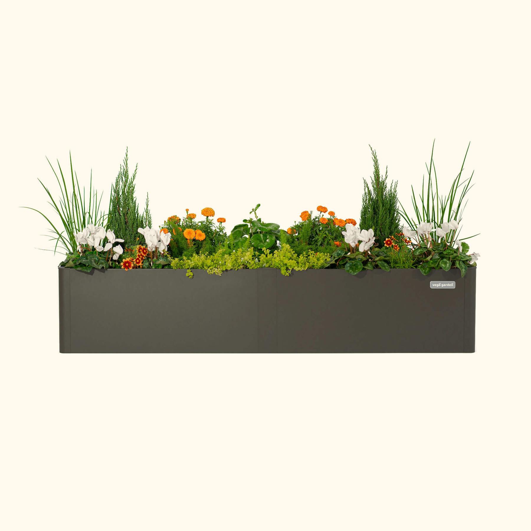 17" Tall Modern 42" x 83" Metal Raised Garden Bed-Garden beds-The Succulent Source