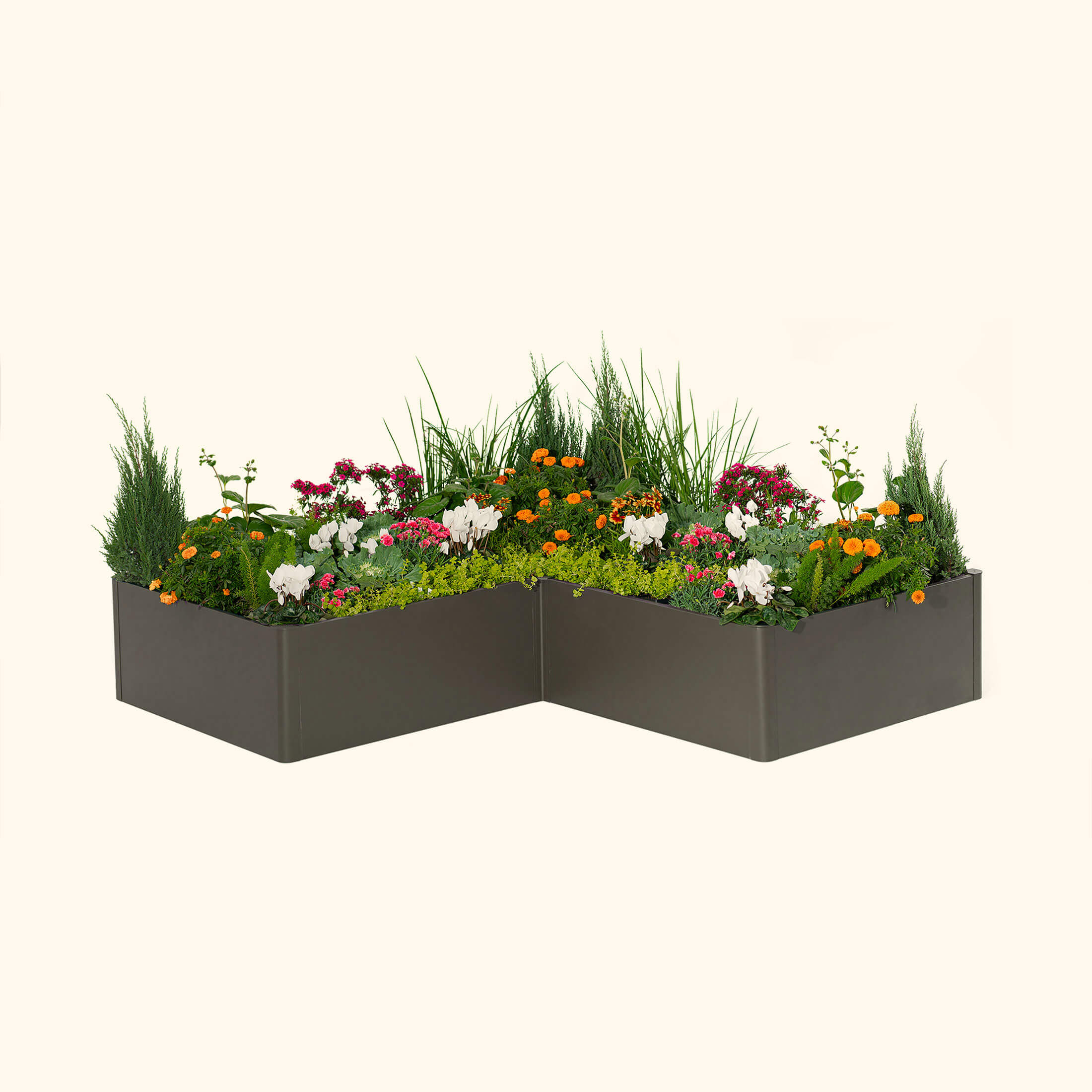 17" Tall Modern 83" x 83" L Shape Metal Raised Garden Bed-Garden beds-The Succulent Source