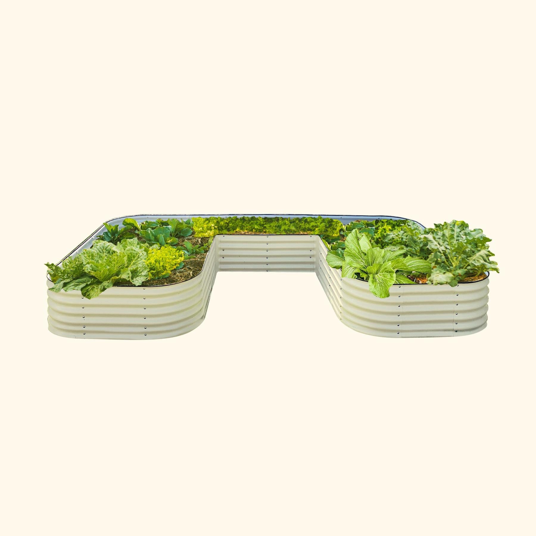 17" Tall U-Shaped Raised Garden Bed Kit - Jumbo Size-Garden beds-The Succulent Source