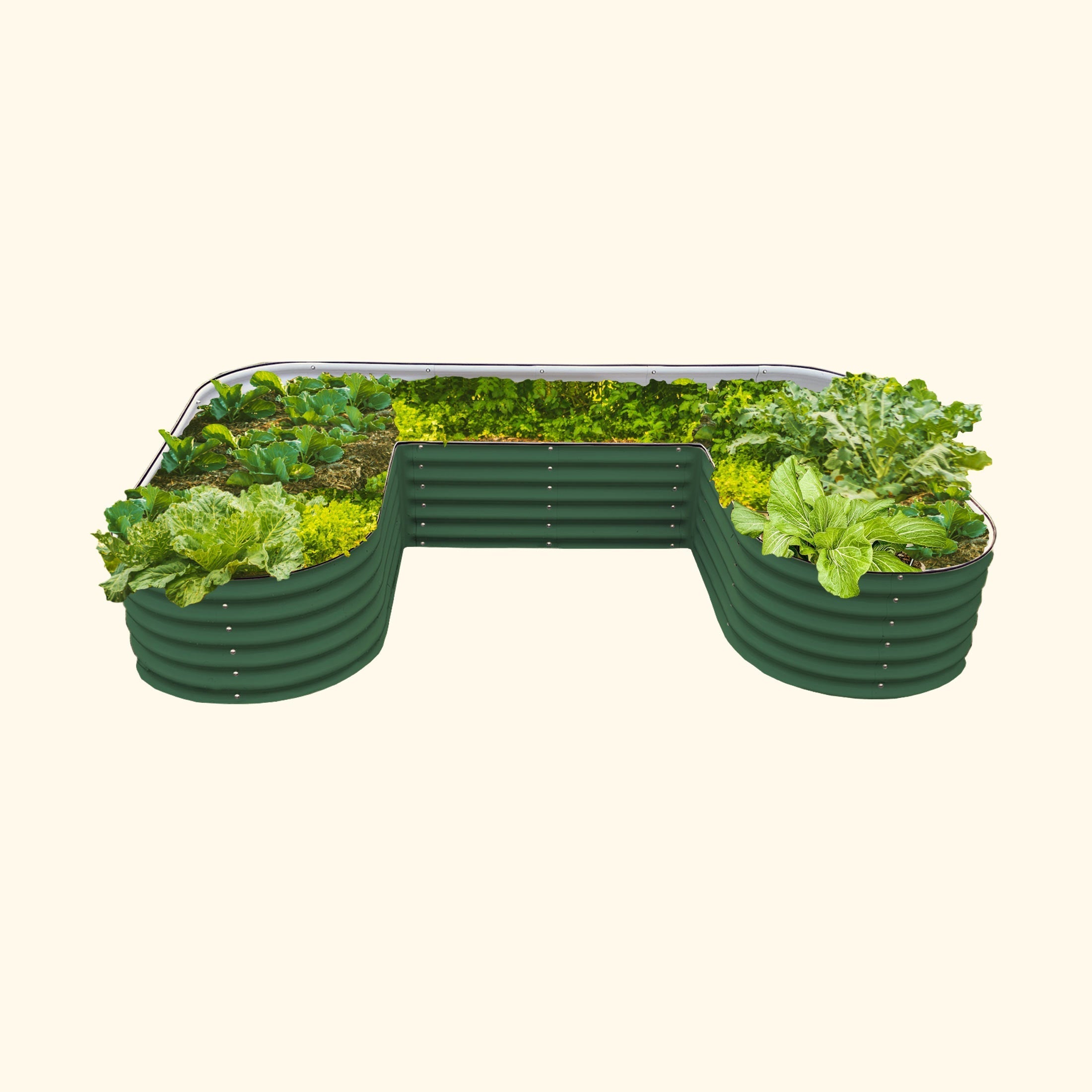 17" Tall U Shaped Raised Garden Bed Kit - Standard Size-Garden beds-The Succulent Source