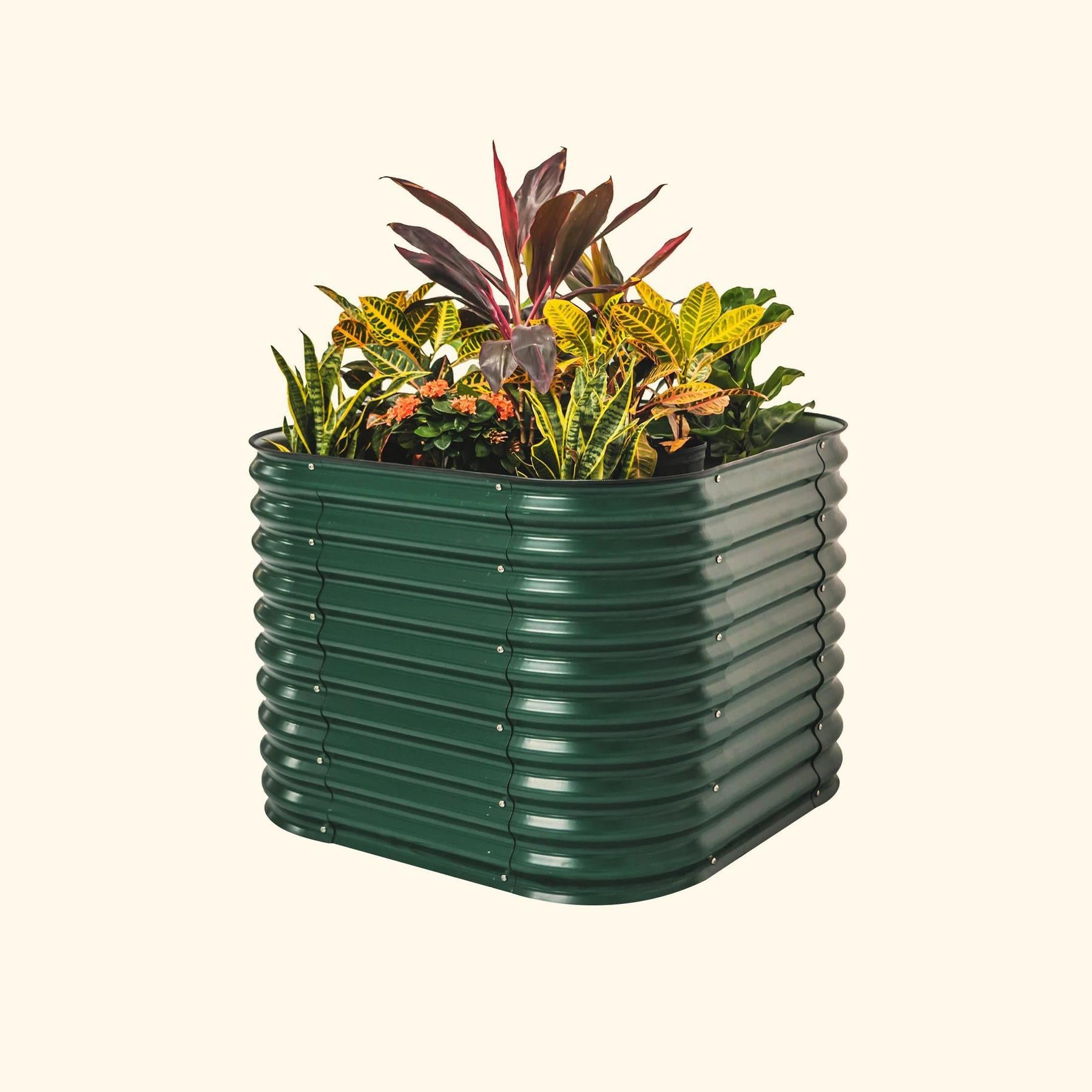 32" Extra Tall 4 In 1 Small Modular Metal Raised Garden Bed Kit-Garden beds-The Succulent Source