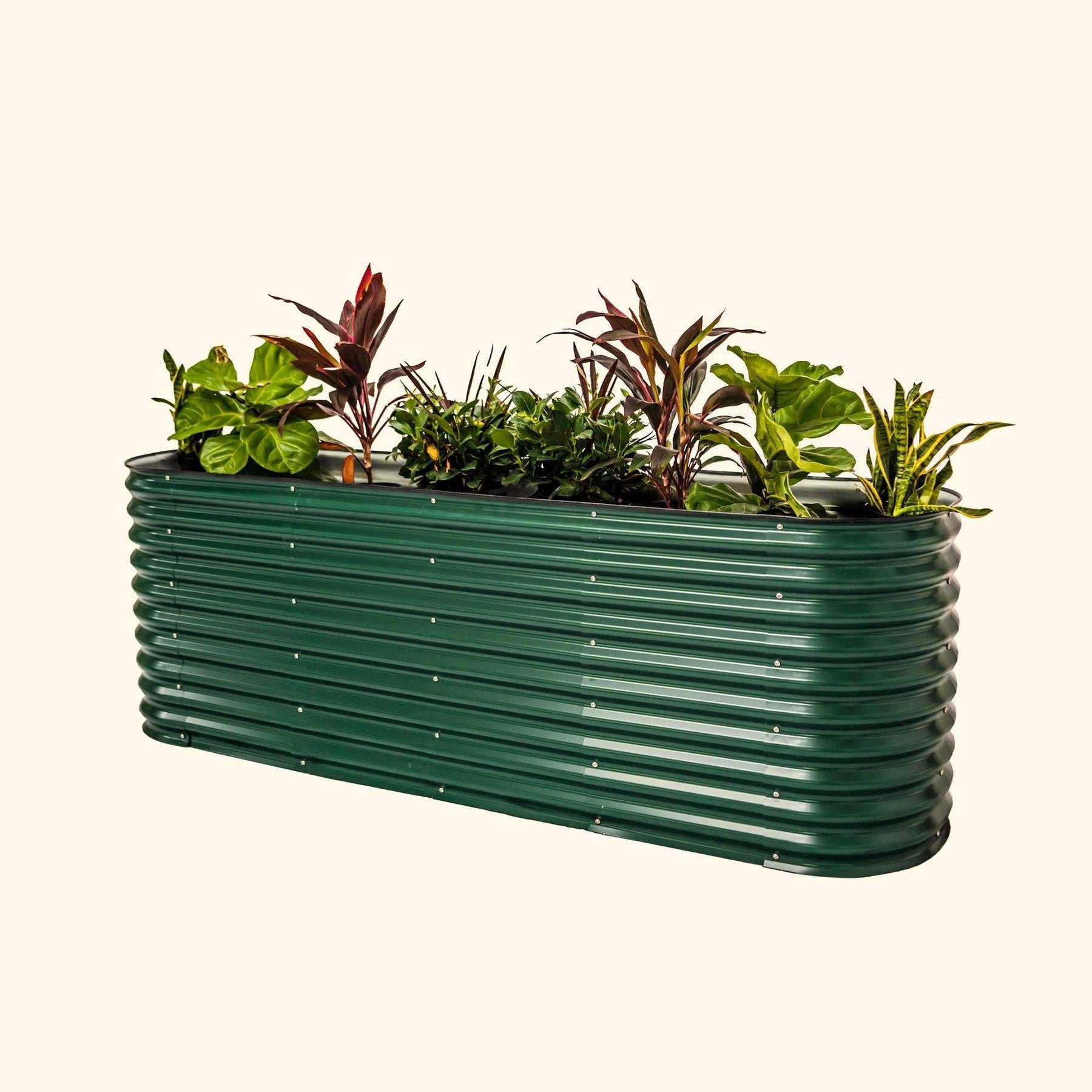 32" Extra Tall 9 In 1 Large Modular Metal Raised Garden Bed Kit-Garden beds-The Succulent Source