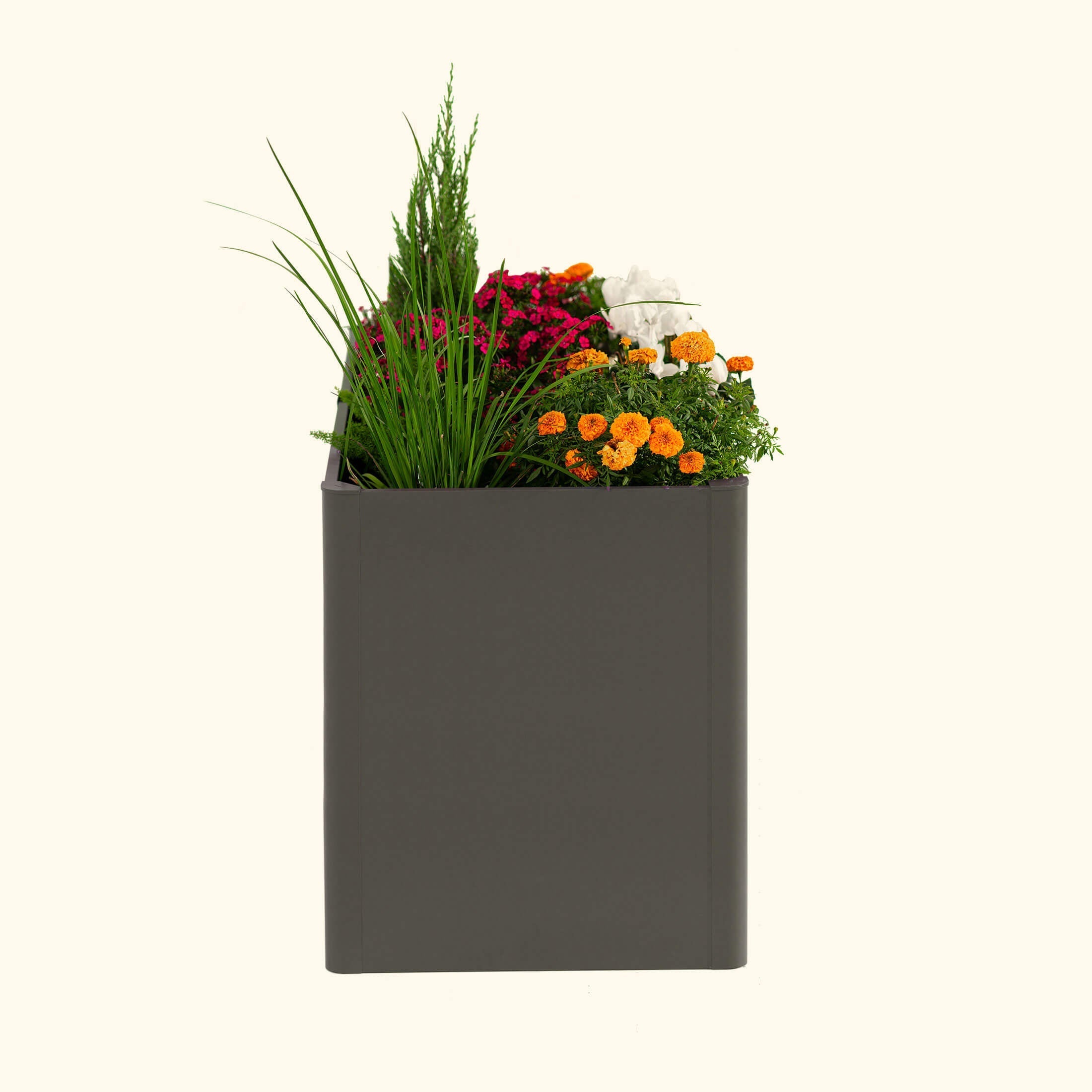 32" Extra Tall Modern 27" x 53" Metal Raised Garden Bed-Garden beds-The Succulent Source