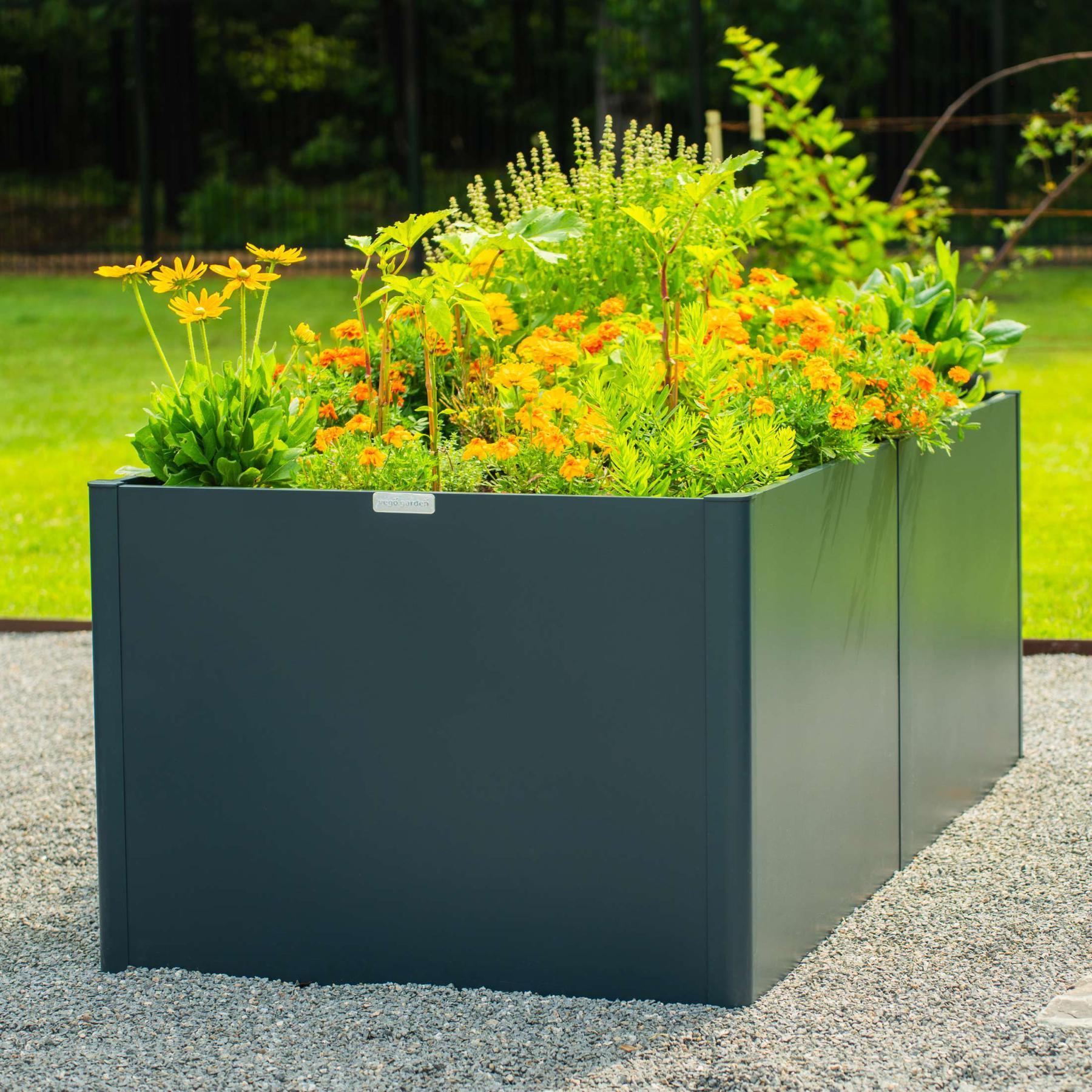 32" Extra Tall Modern 42" x 83" Metal Raised Garden Bed-Garden beds-The Succulent Source