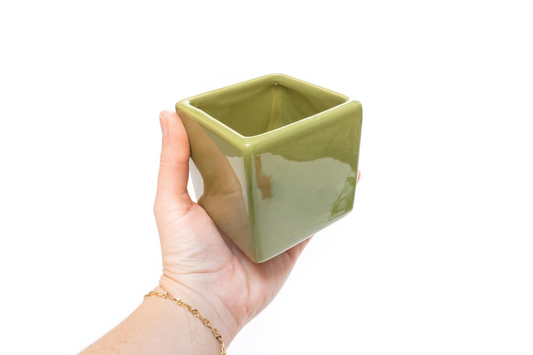 Air Plant Supply Co. Brand Colors Set - Two Ceramic Cube Containers with Tillandsia Xerographica Mini and Juncea-The Succulent Source