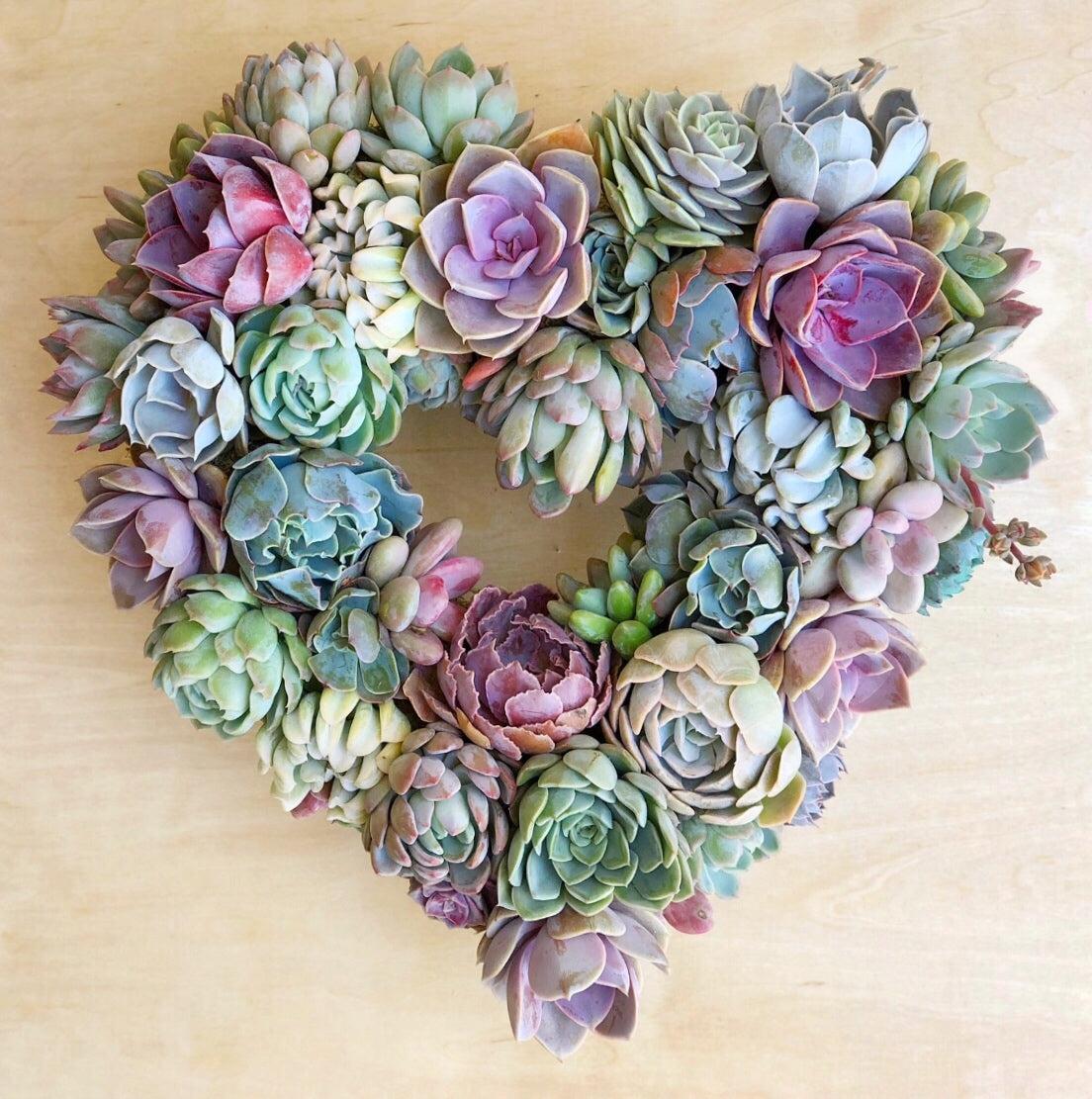 Angelique Heart-Shaped Succulent Wreath.