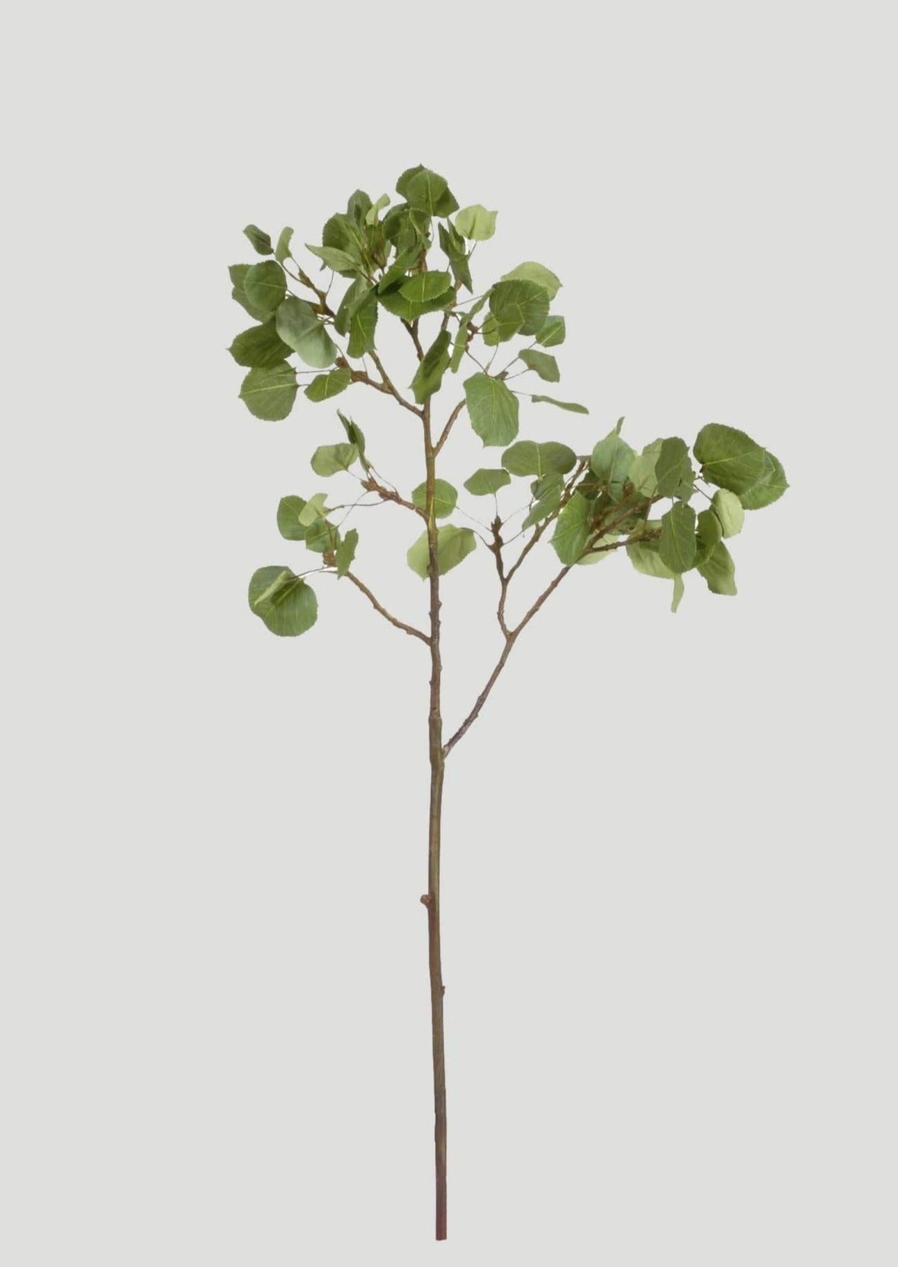 Artificial Aspen Tree Branch - 42"-Everyday Plants-The Succulent Source