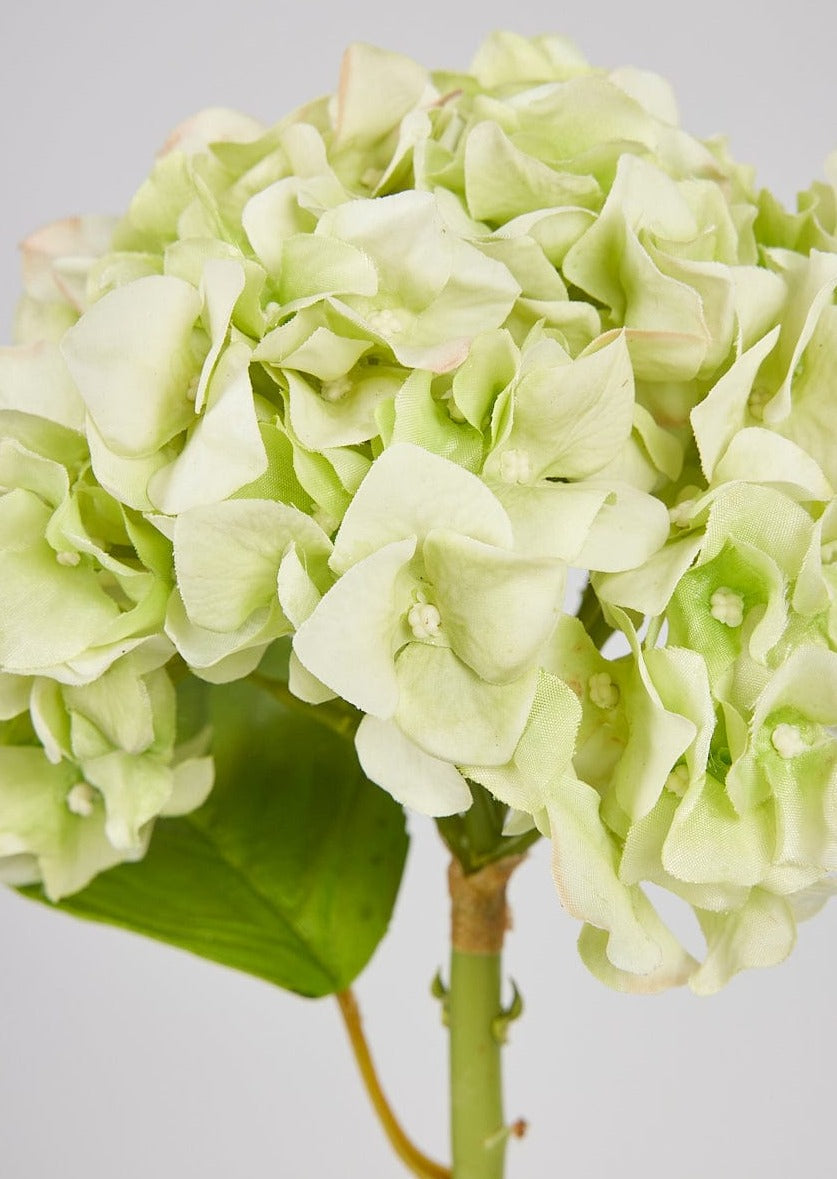 Artificial Flowers French Country Green Real Touch Hydrangea Stem - 18"-Blooming Flowers-The Succulent Source