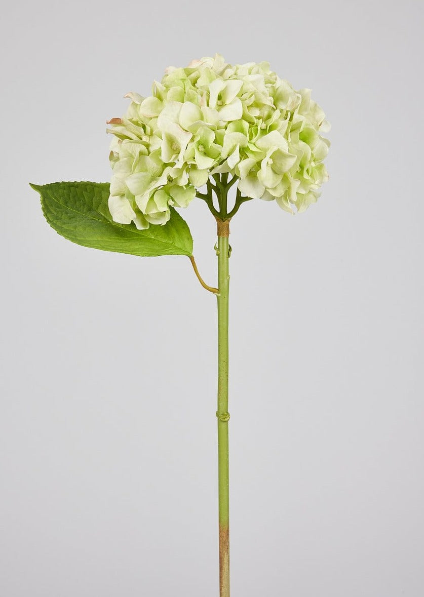 Artificial Flowers French Country Green Real Touch Hydrangea Stem - 18"-Blooming Flowers-The Succulent Source